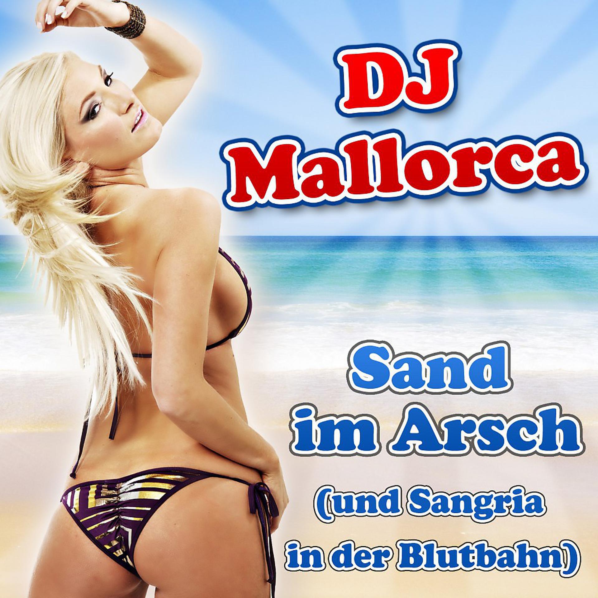 Постер альбома Sand im Arsch (Und Sangria in der Blutbahn)