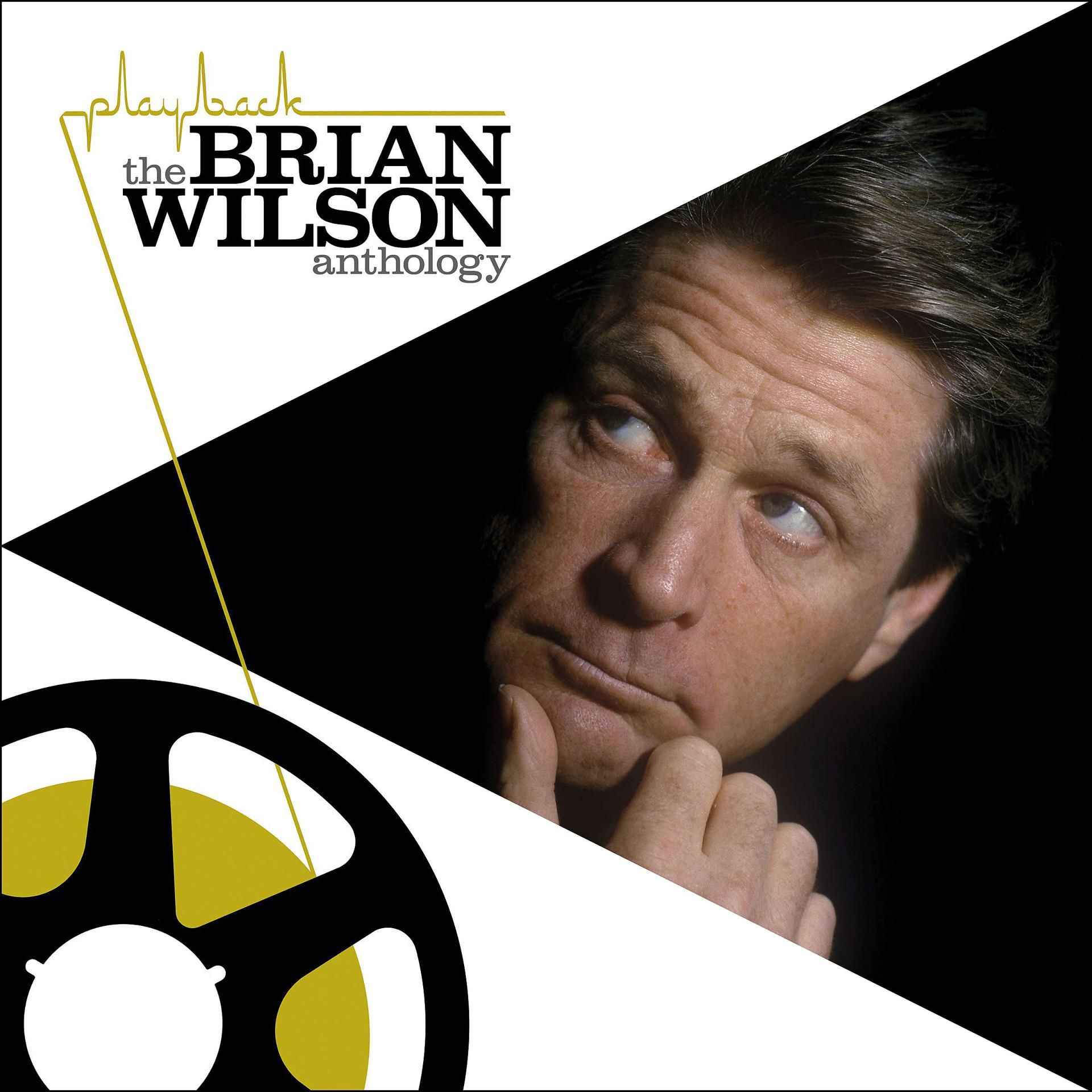 Постер альбома Playback: The Brian Wilson Anthology