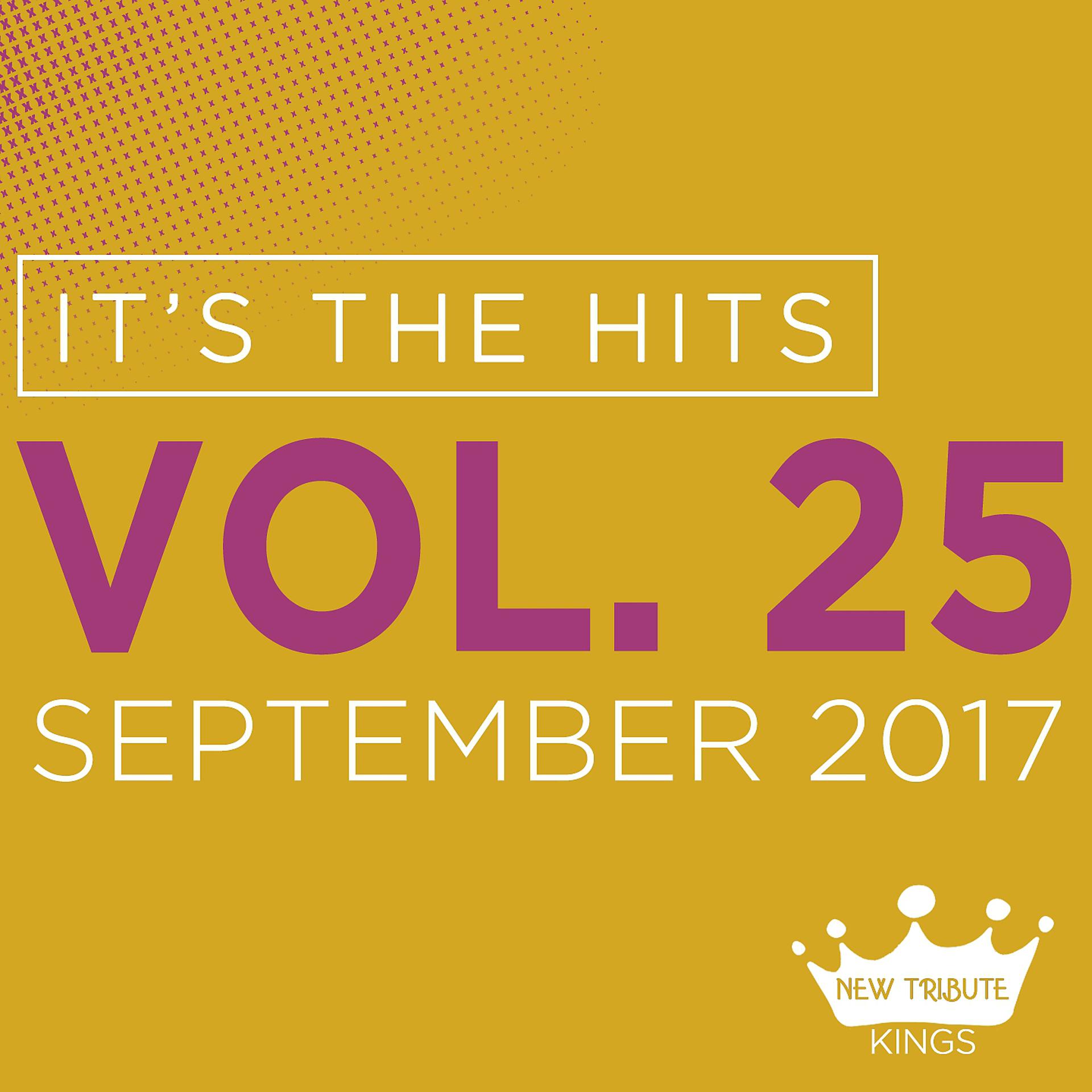 Постер альбома It's the Hits! 2017, Vol.25