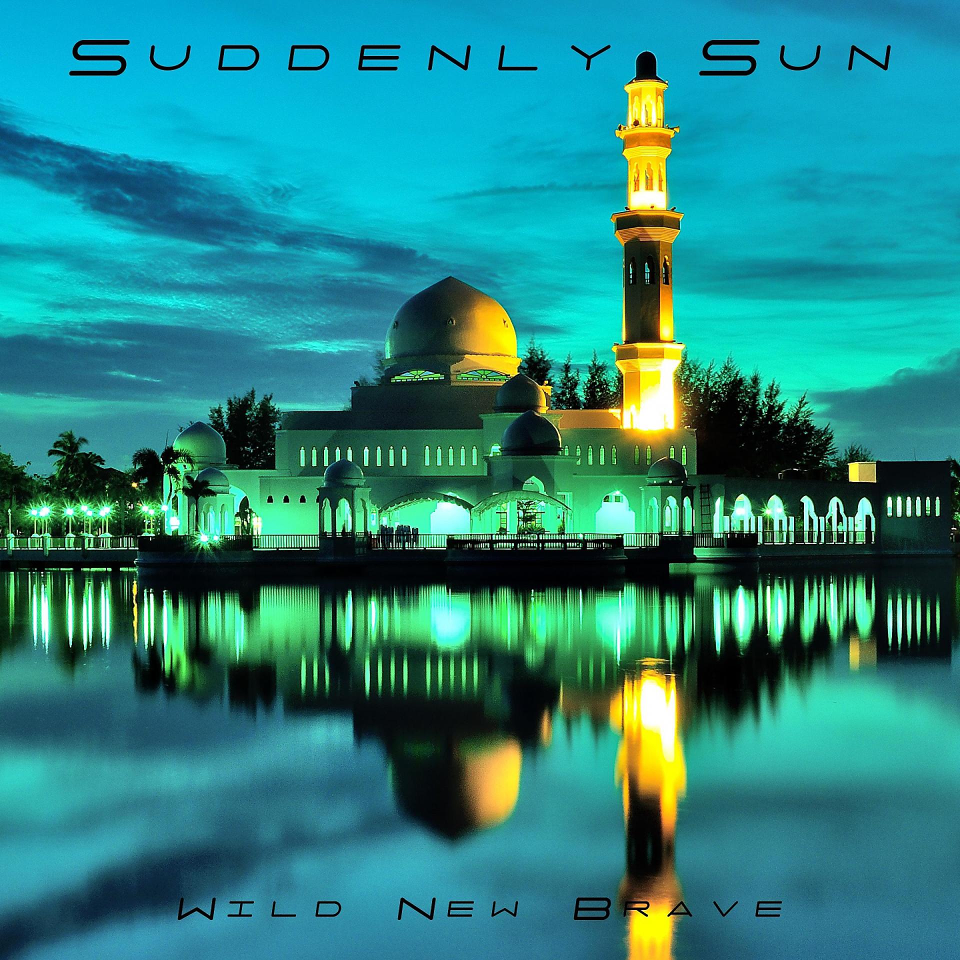 Постер альбома Suddenly Sun