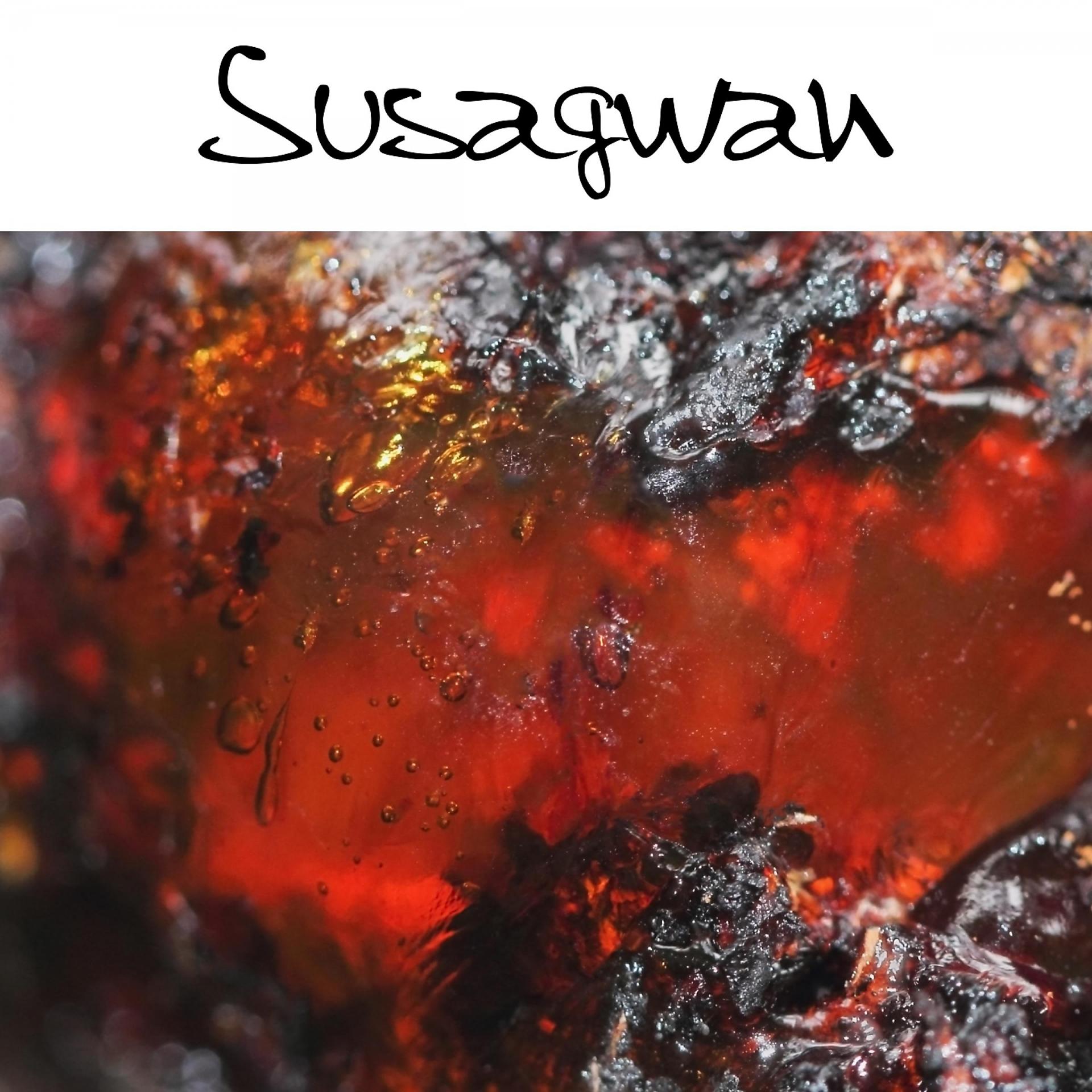 Постер альбома Susagwan