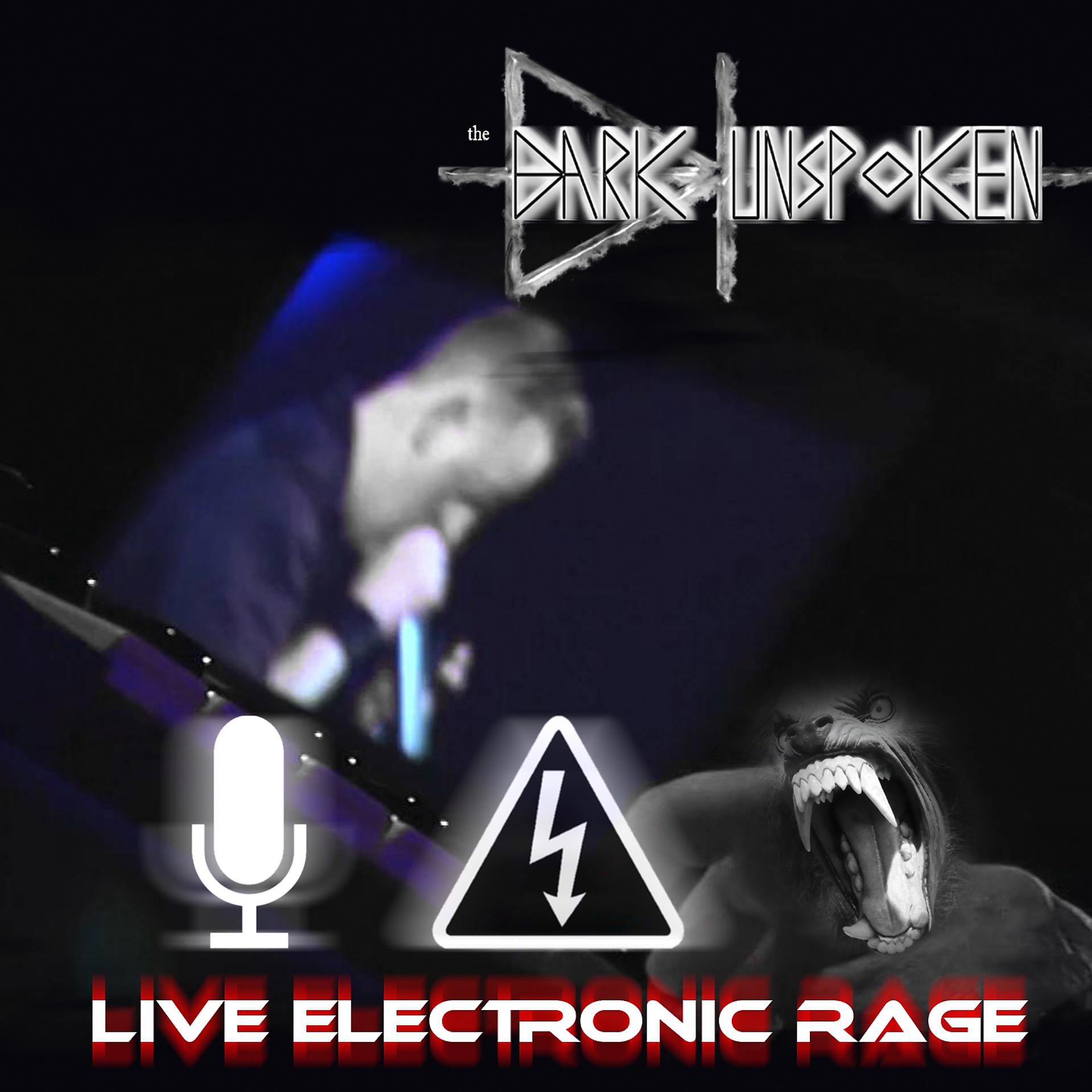 Постер альбома Live Electronic Rage
