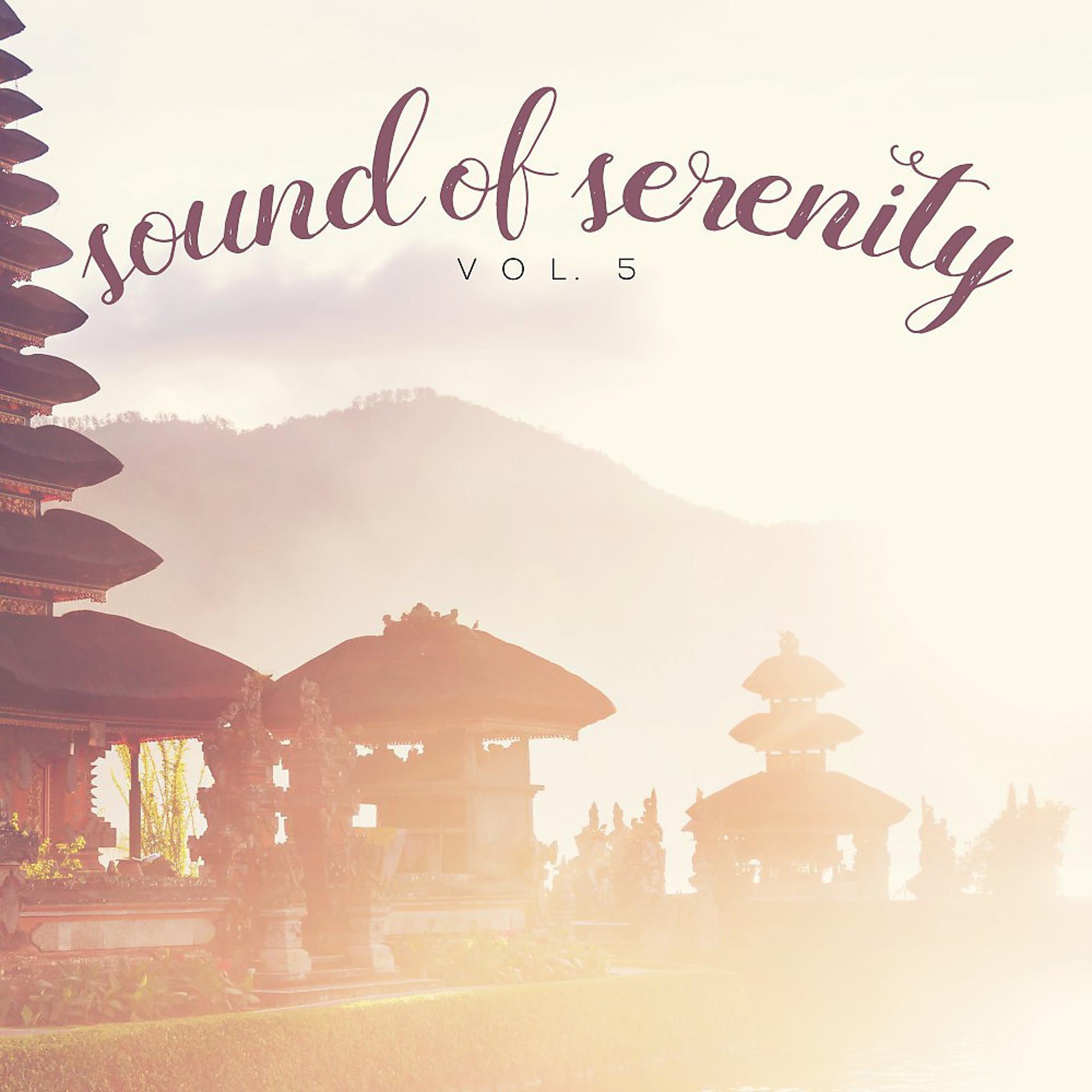 Постер альбома Sound of Serenity, Vol. 5