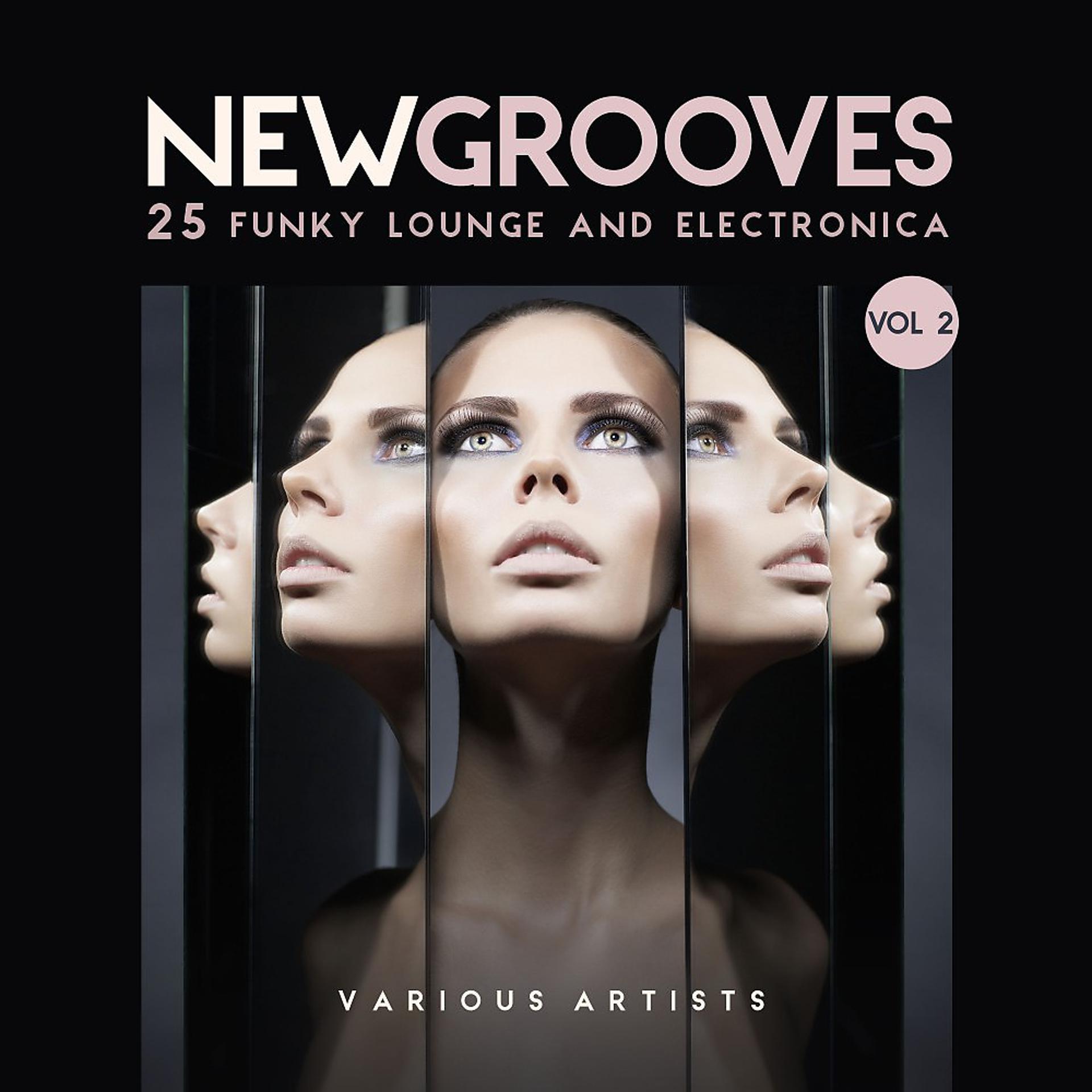 Постер альбома New Grooves, Vol. 2 (25 Funky Lounge & Electronica)