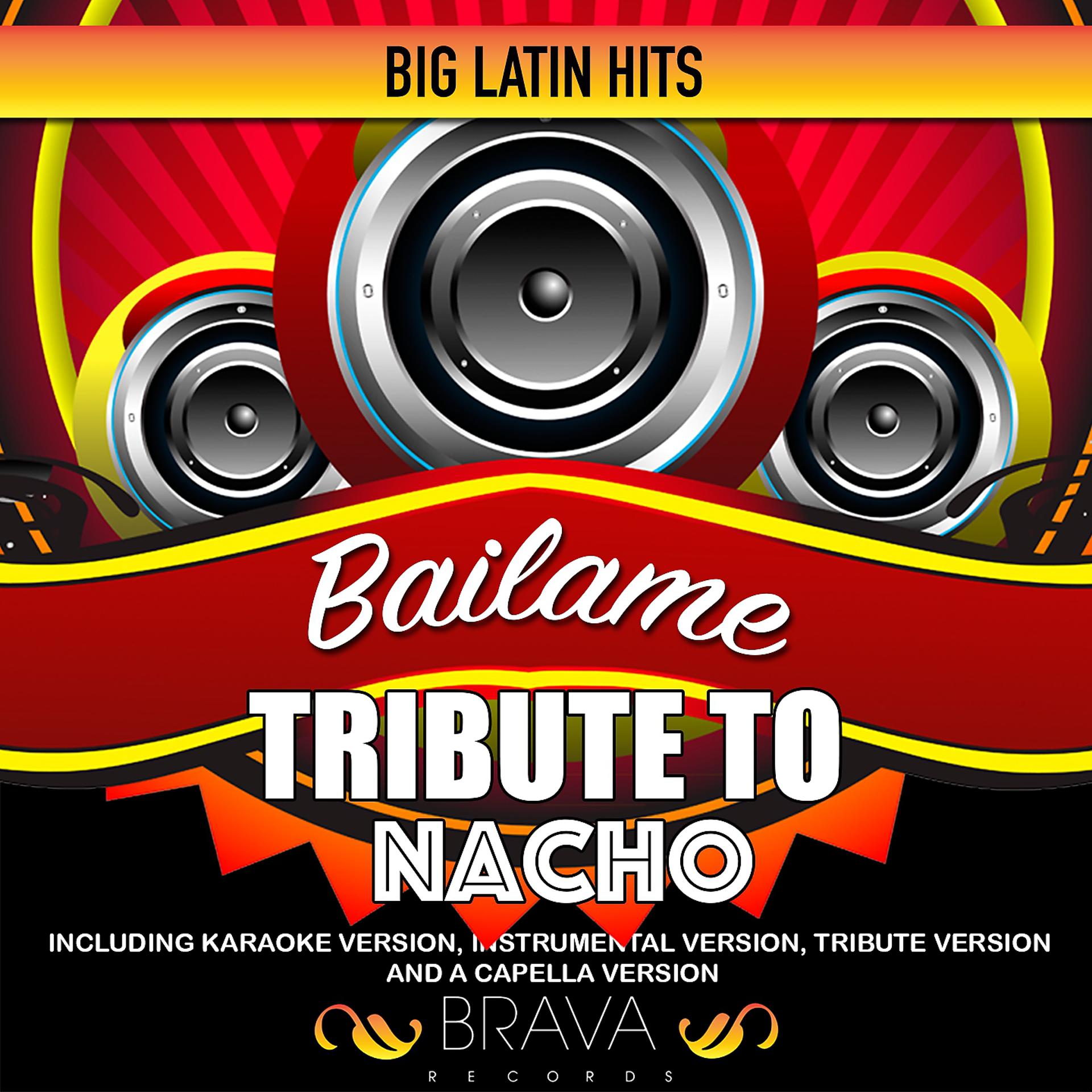 Постер альбома Bailame - Tribute To Nacho