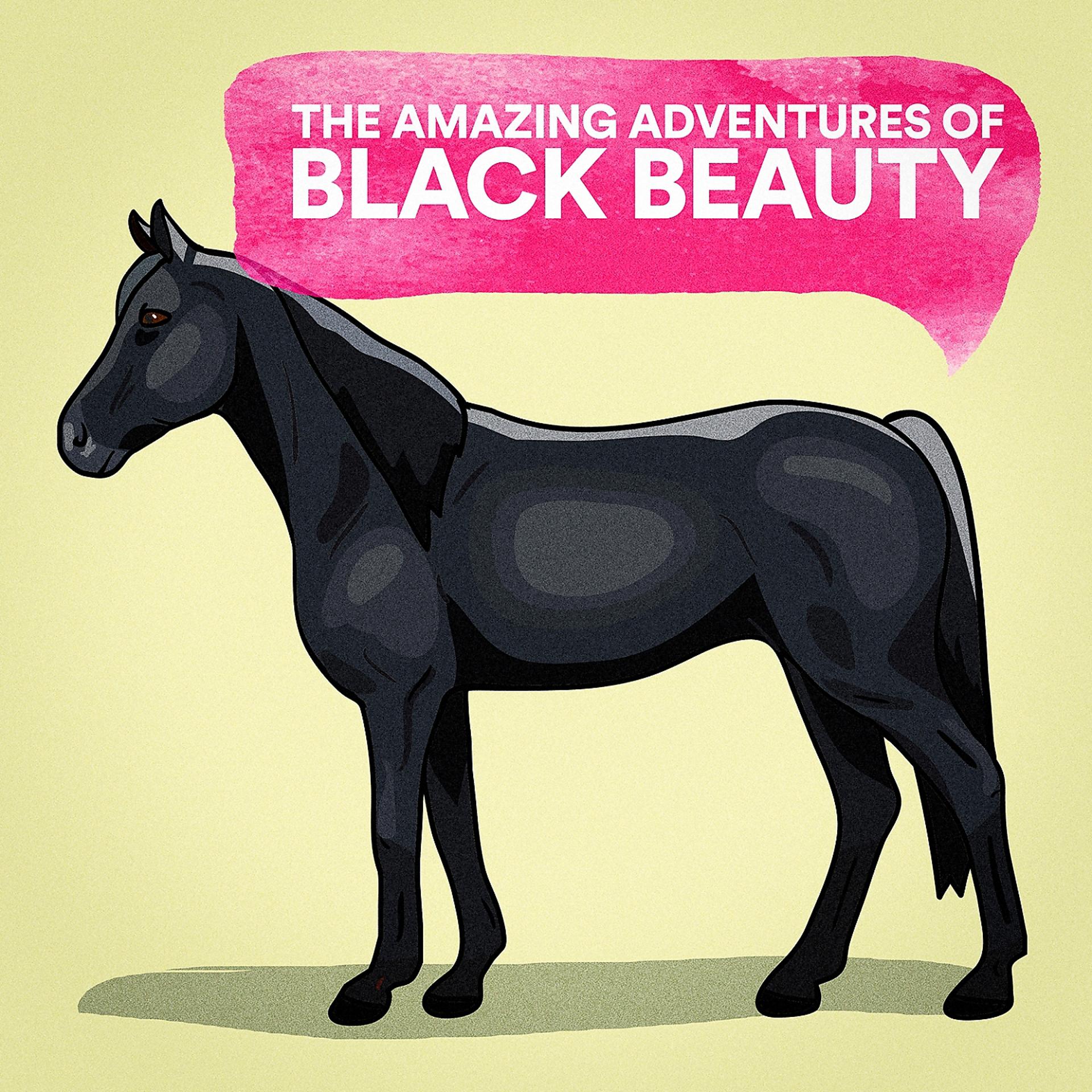 Постер альбома The Amazing Adventures of Black Beauty