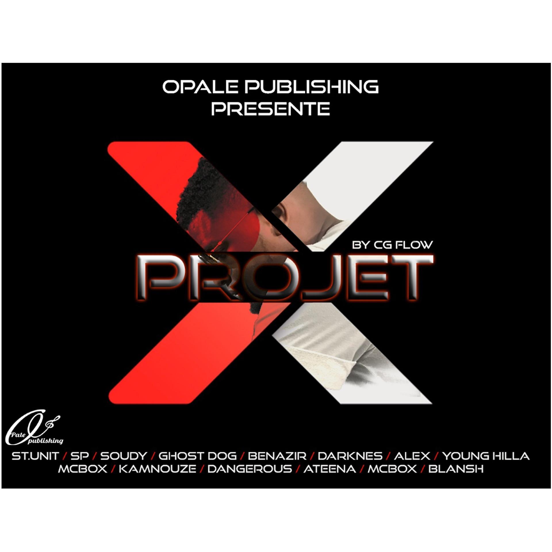 Постер альбома Projet X