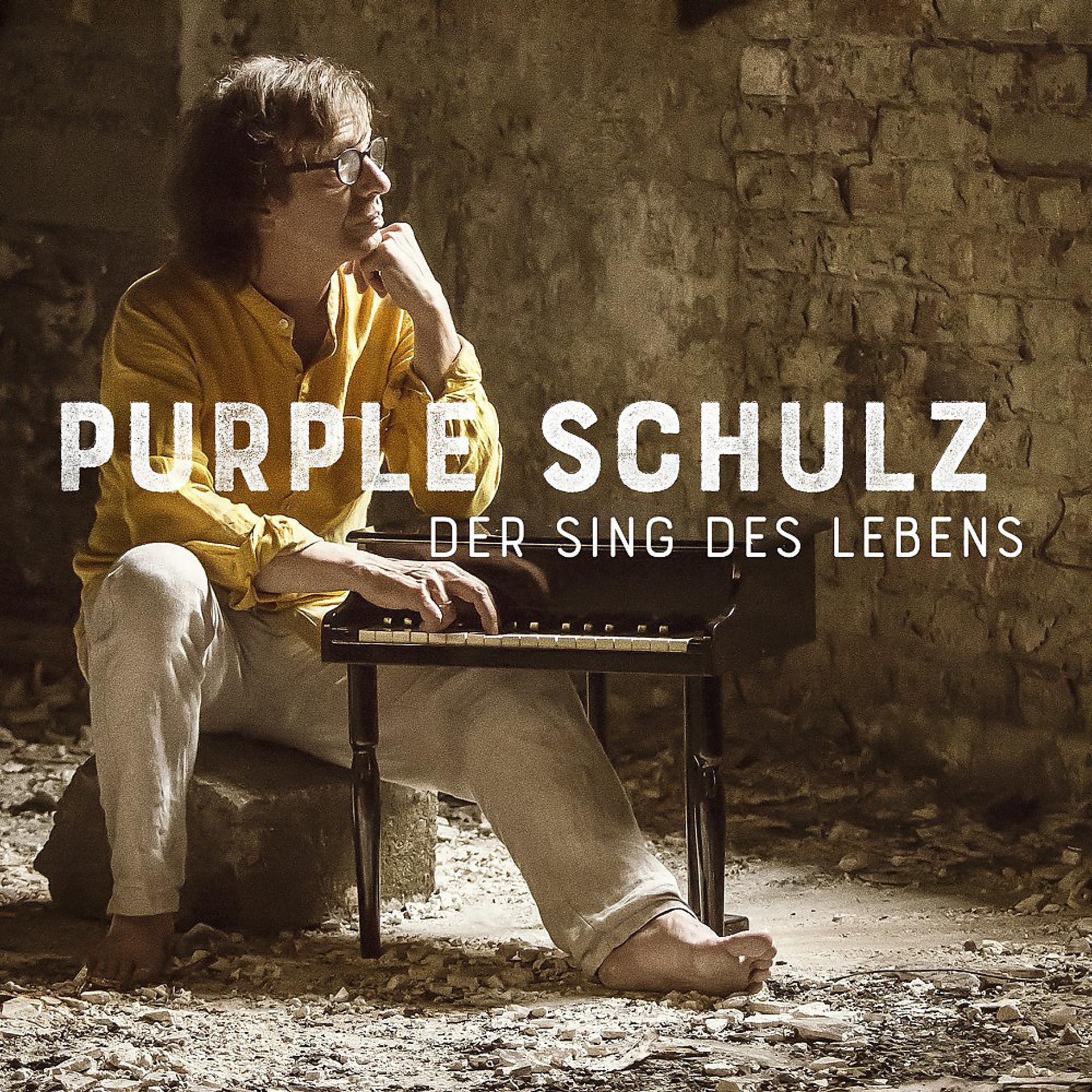 Постер альбома Der Sing des Lebens