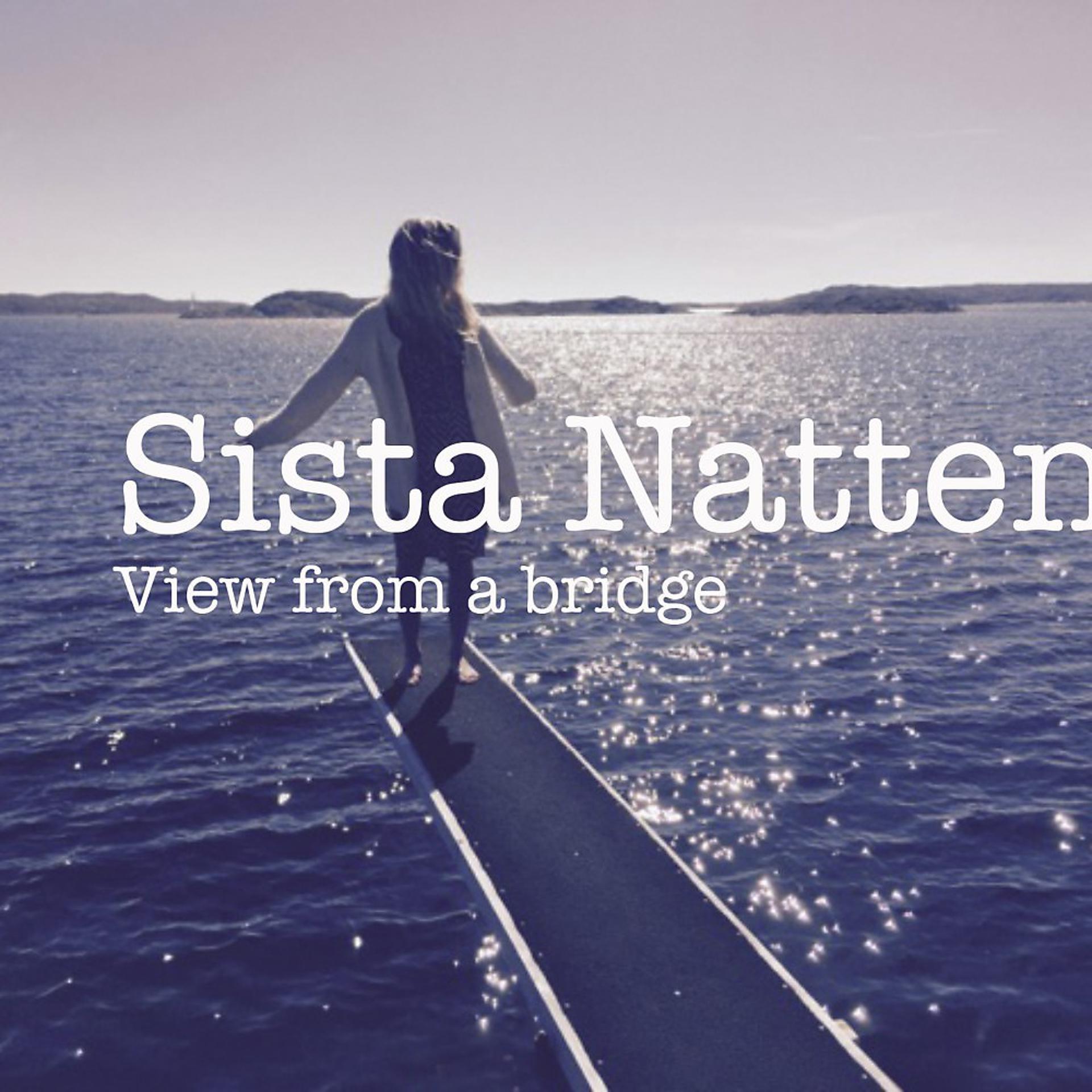 Постер альбома Sista natten