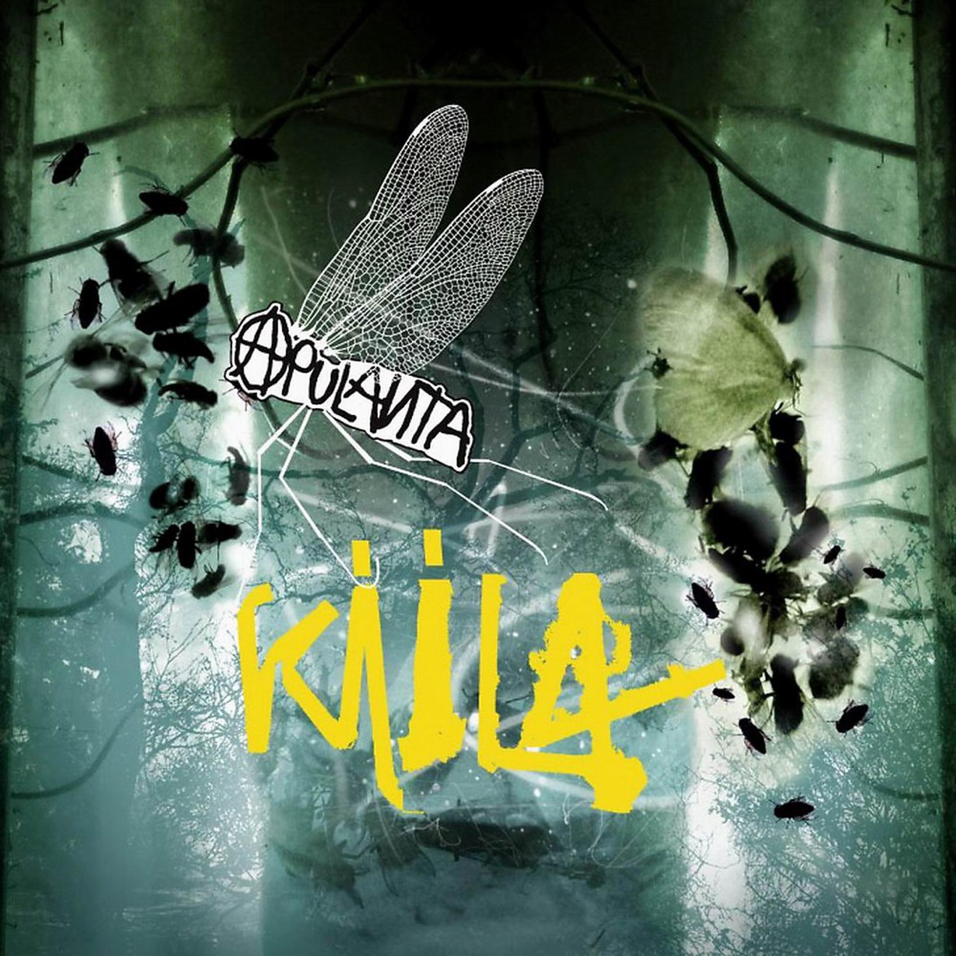 Постер альбома Kiila