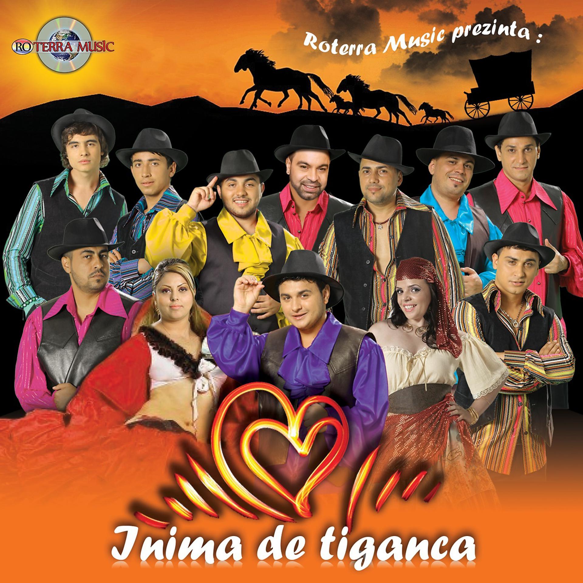 Постер альбома Inima De Tiganca