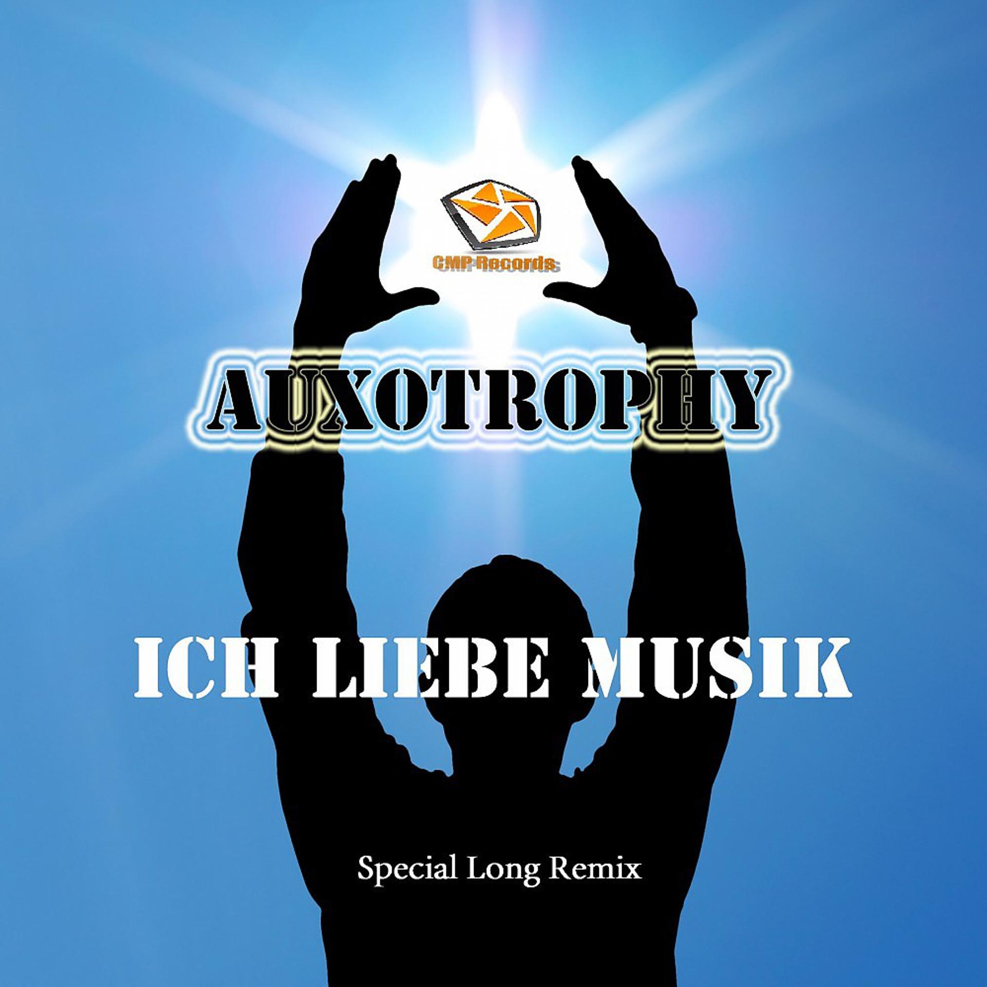 Постер альбома Ich liebe Musik (Special Long Remix)