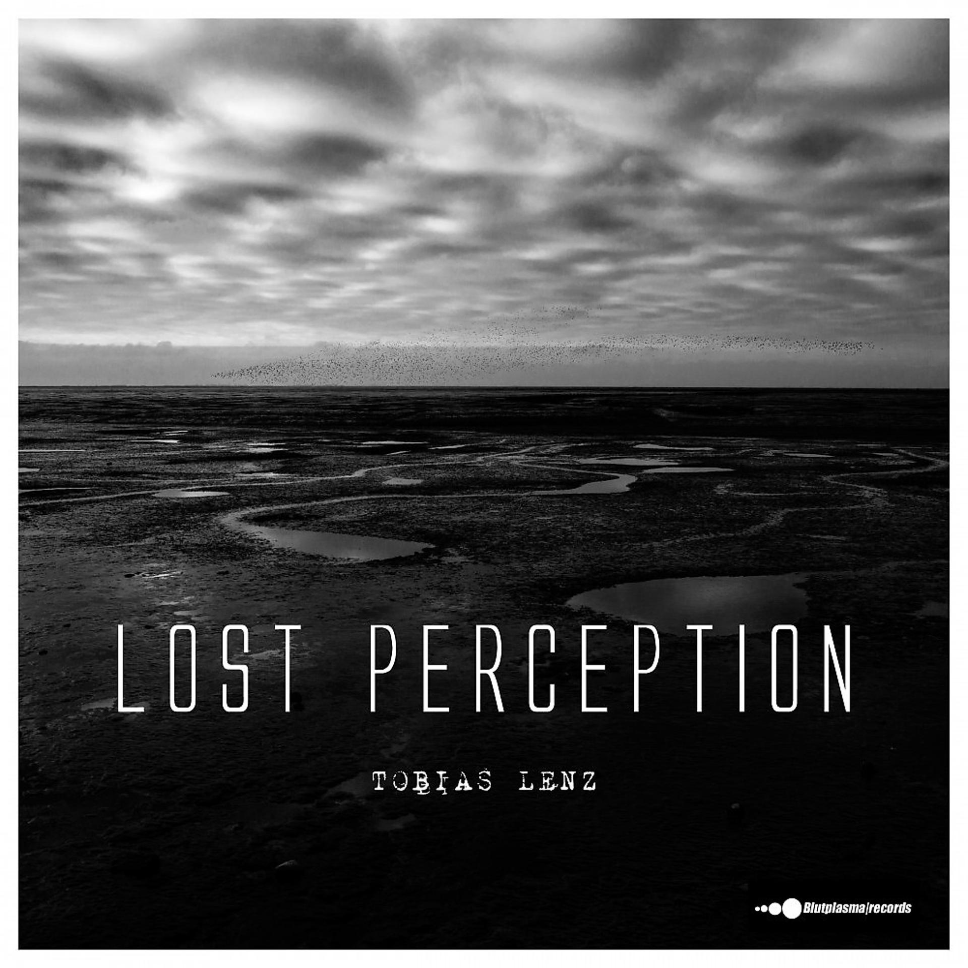 Постер альбома Lost Perception