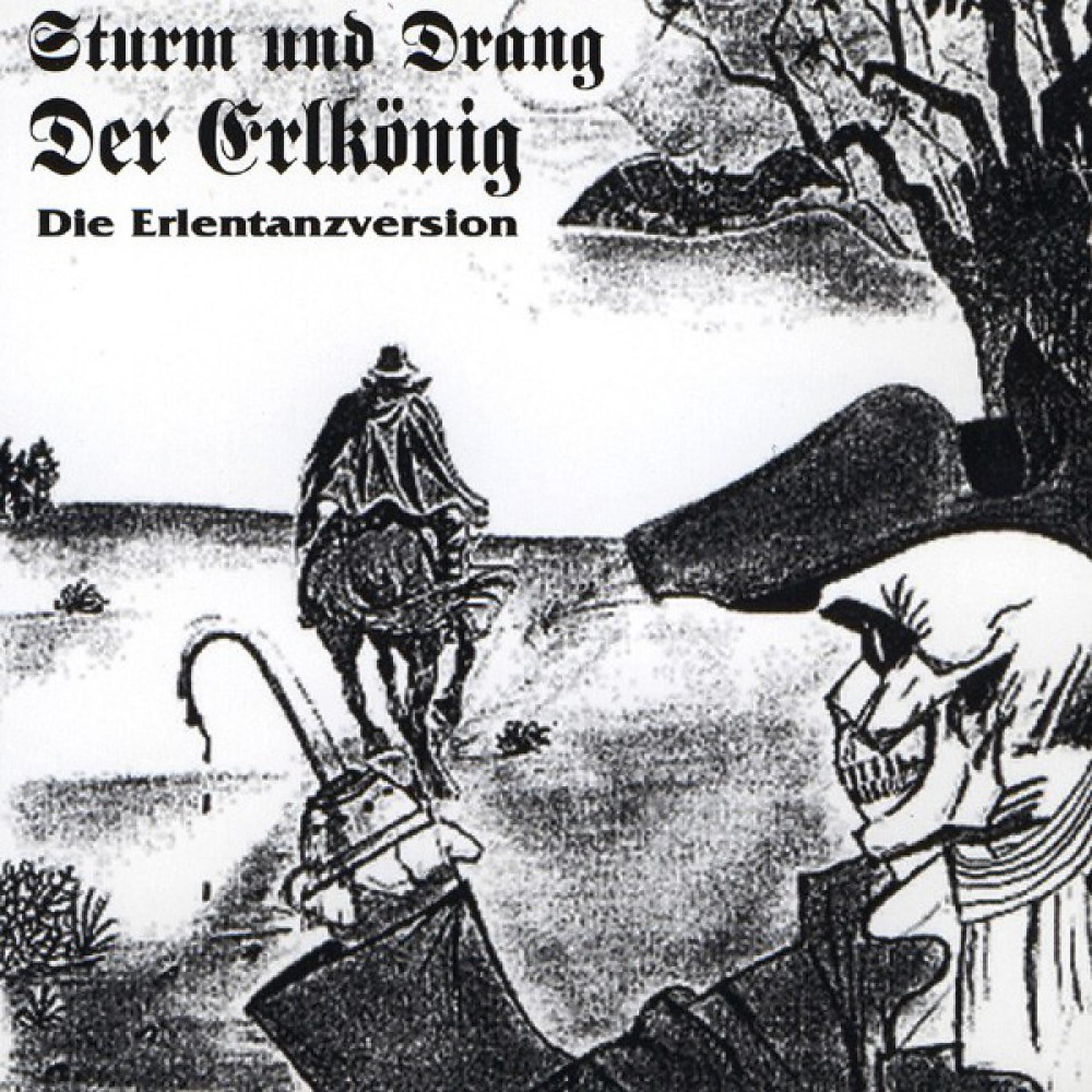 Постер альбома Der Erlkönig