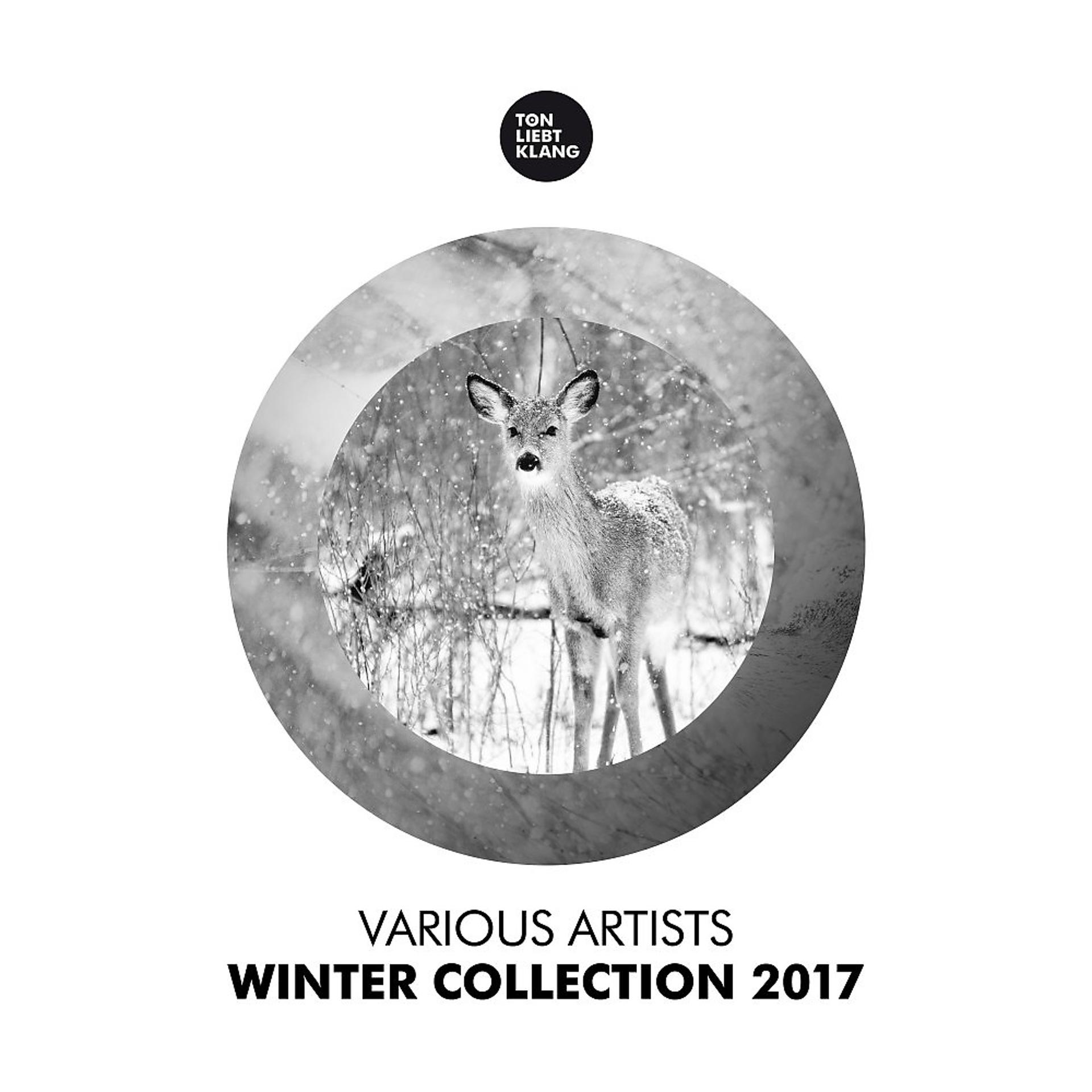 Постер альбома Winter Collection 2017