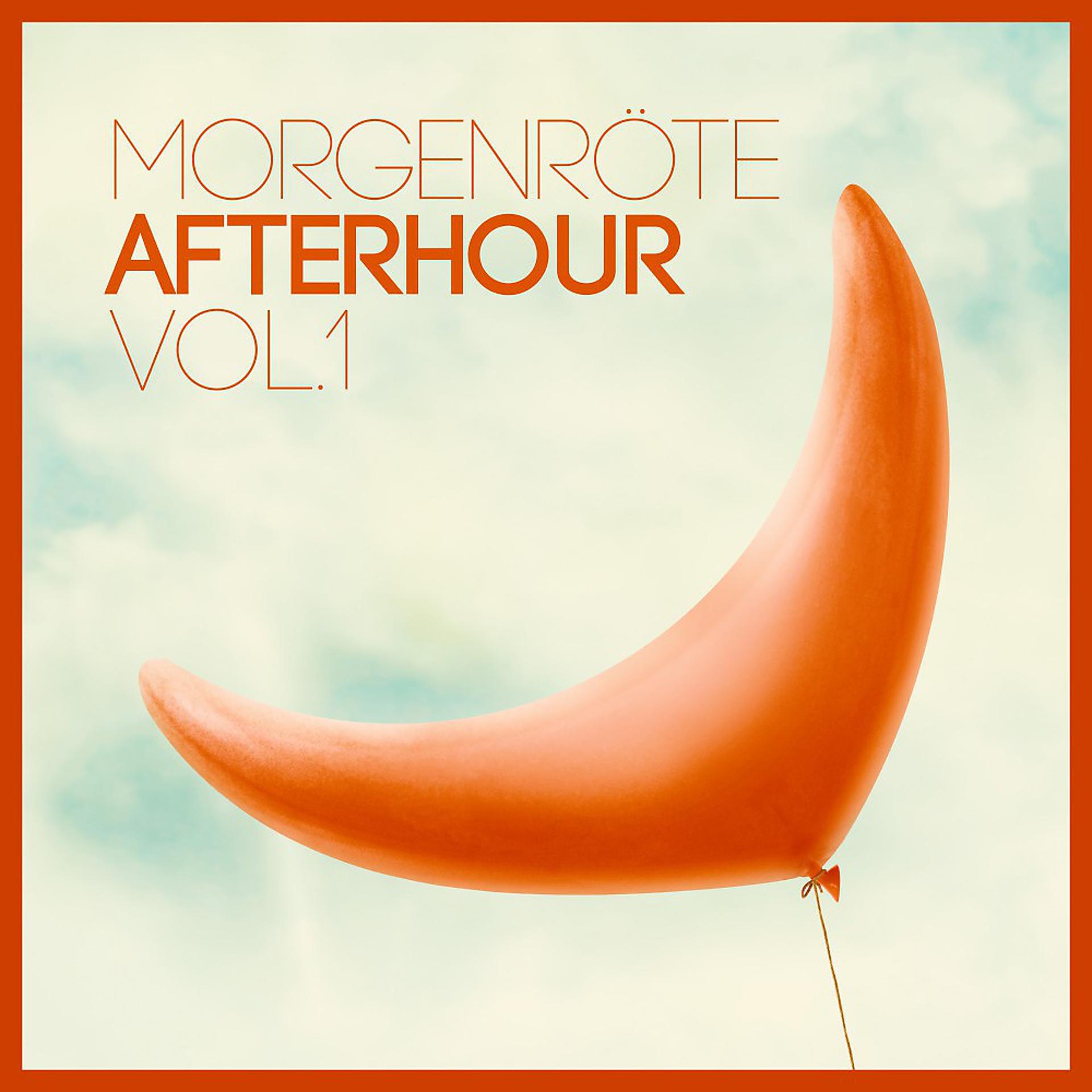 Постер альбома Morgenröte Afterhour, Vol. 1