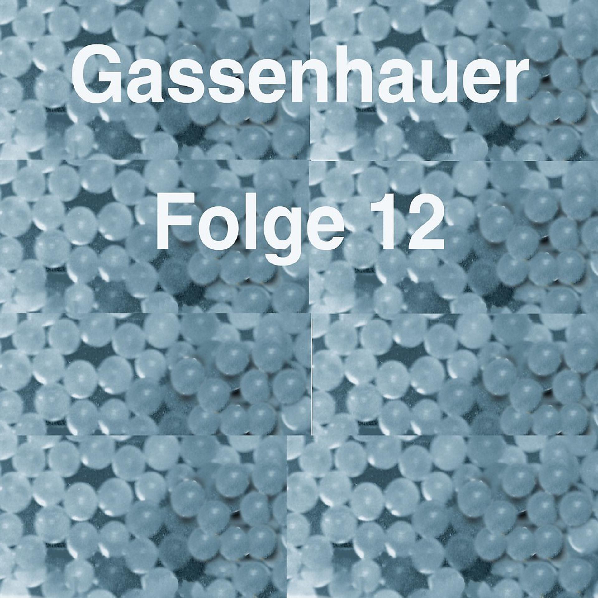 Постер альбома Gassenhauer Vol. 12