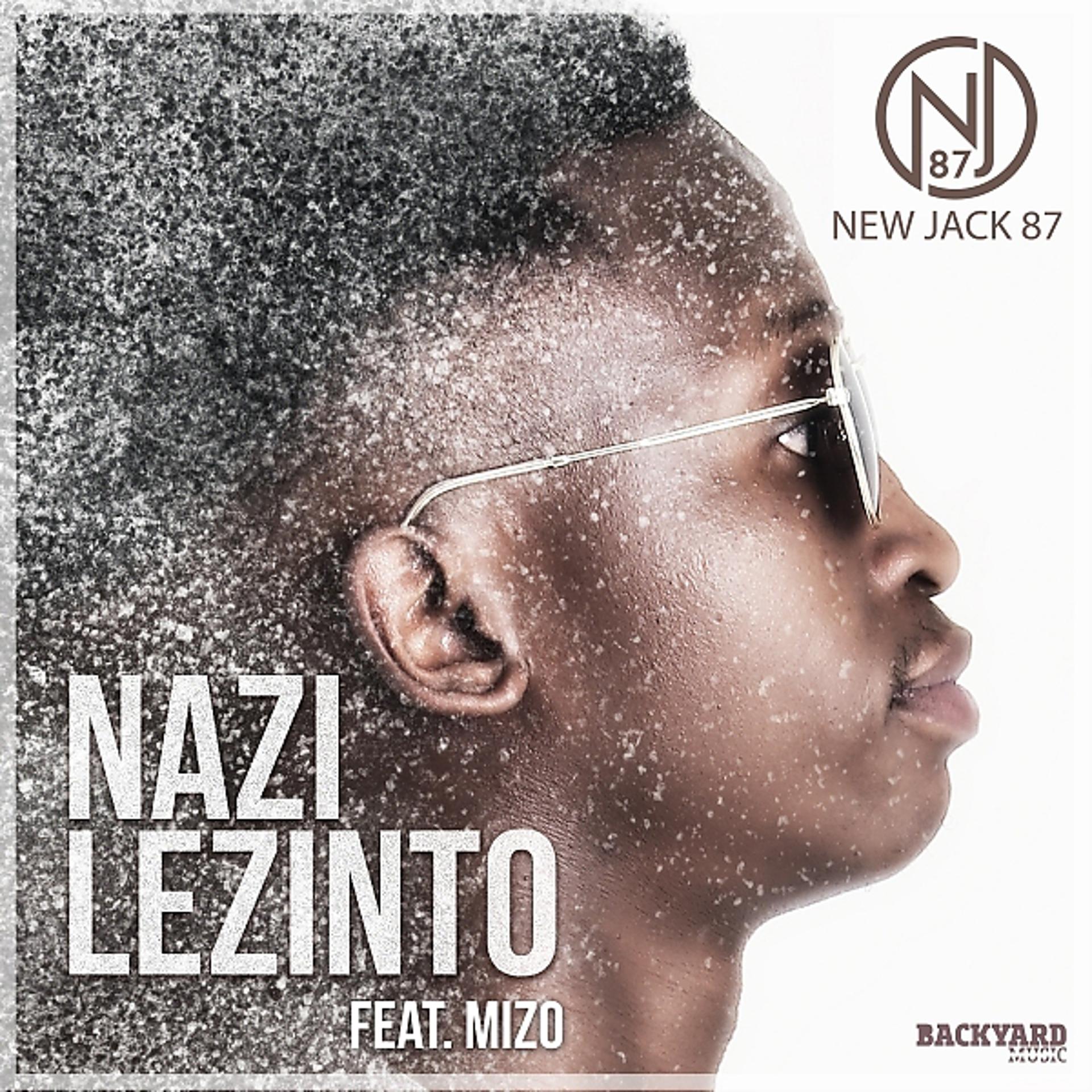 Постер альбома Nazi Lezinto