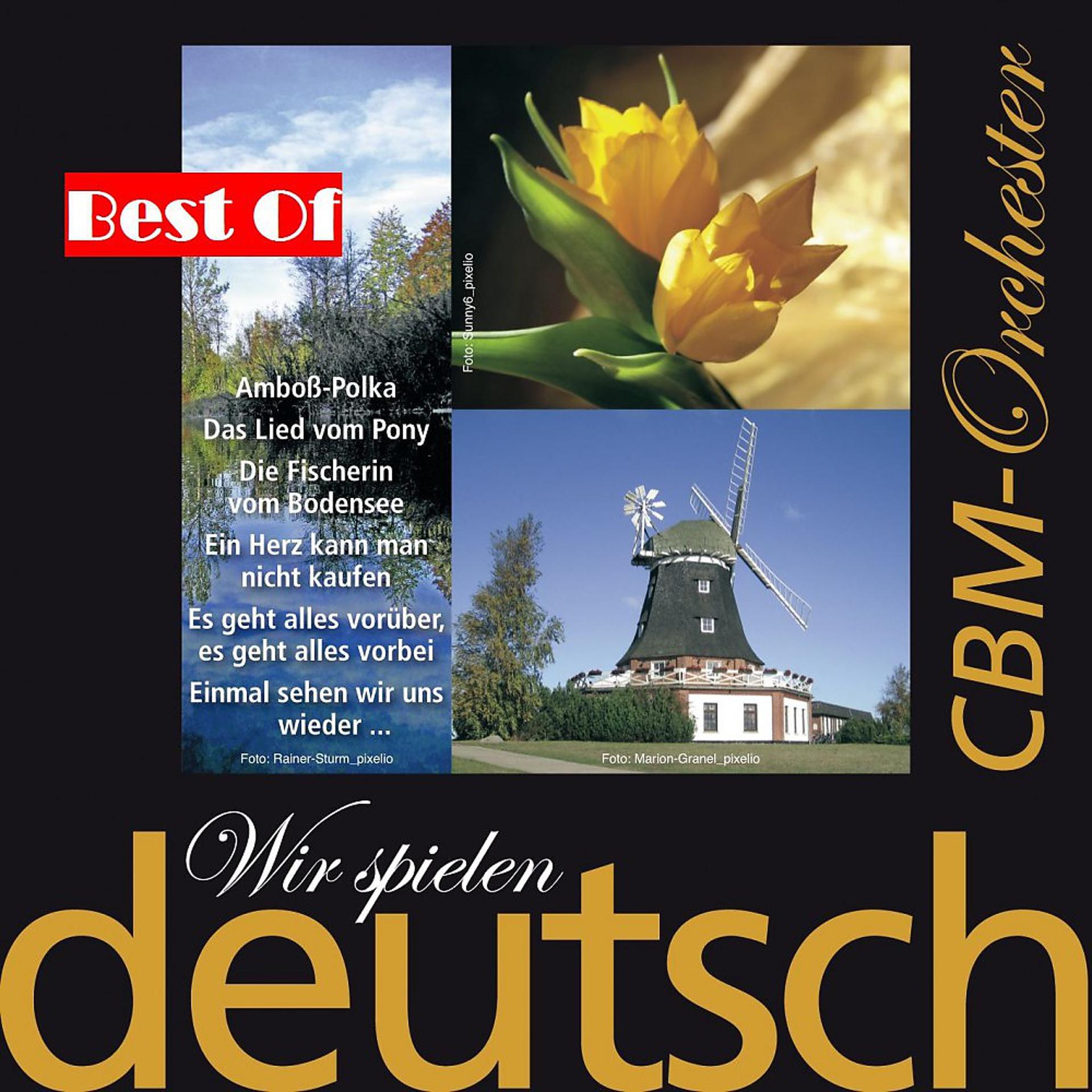 Постер альбома Best Of: Wir spielen Deutsch