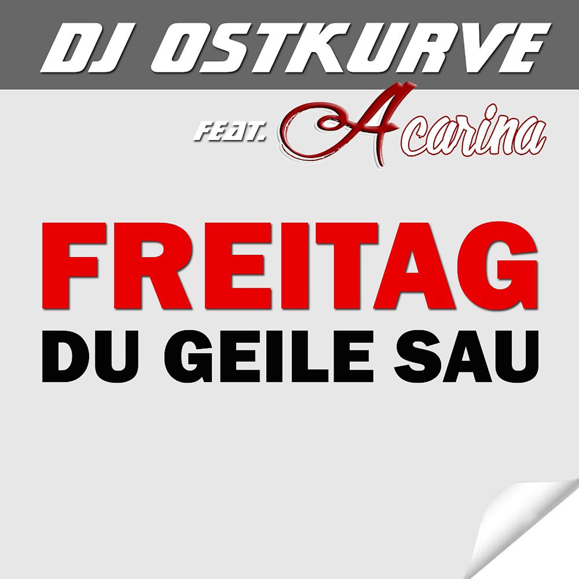 Постер альбома Freitag (Du geile Sau)