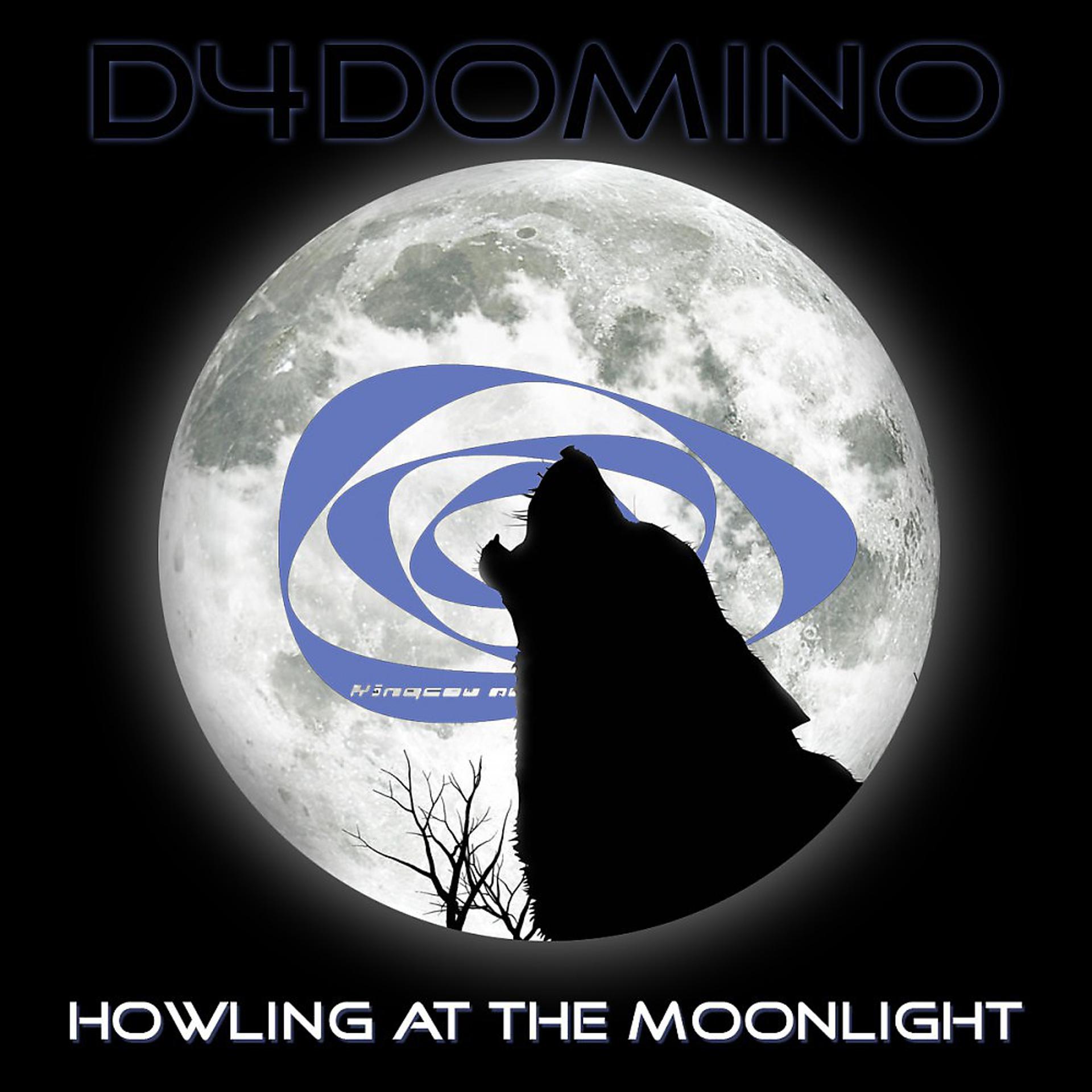 Постер альбома Howling at the Moonlight (Radio Edit)