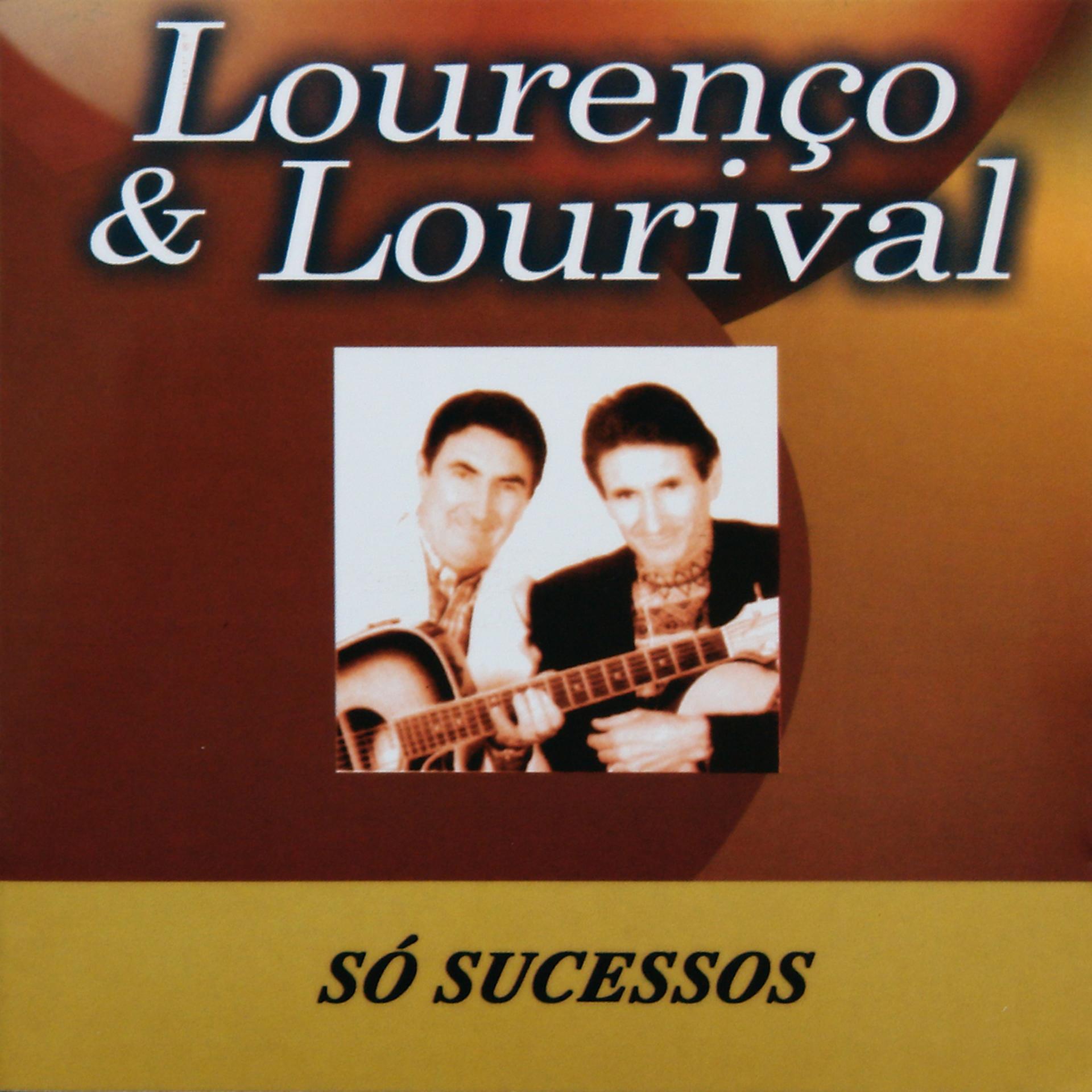 Постер альбома Só Sucessos