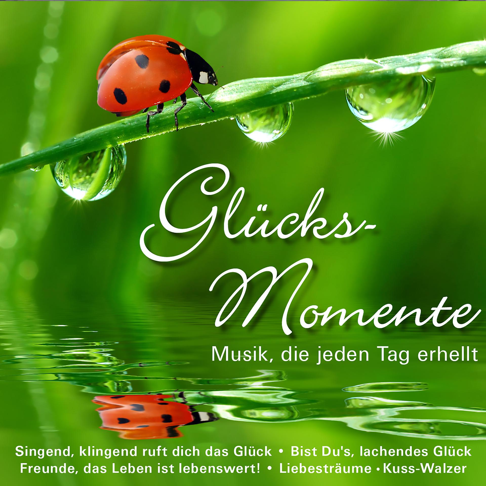 Постер альбома Glücks-Momente