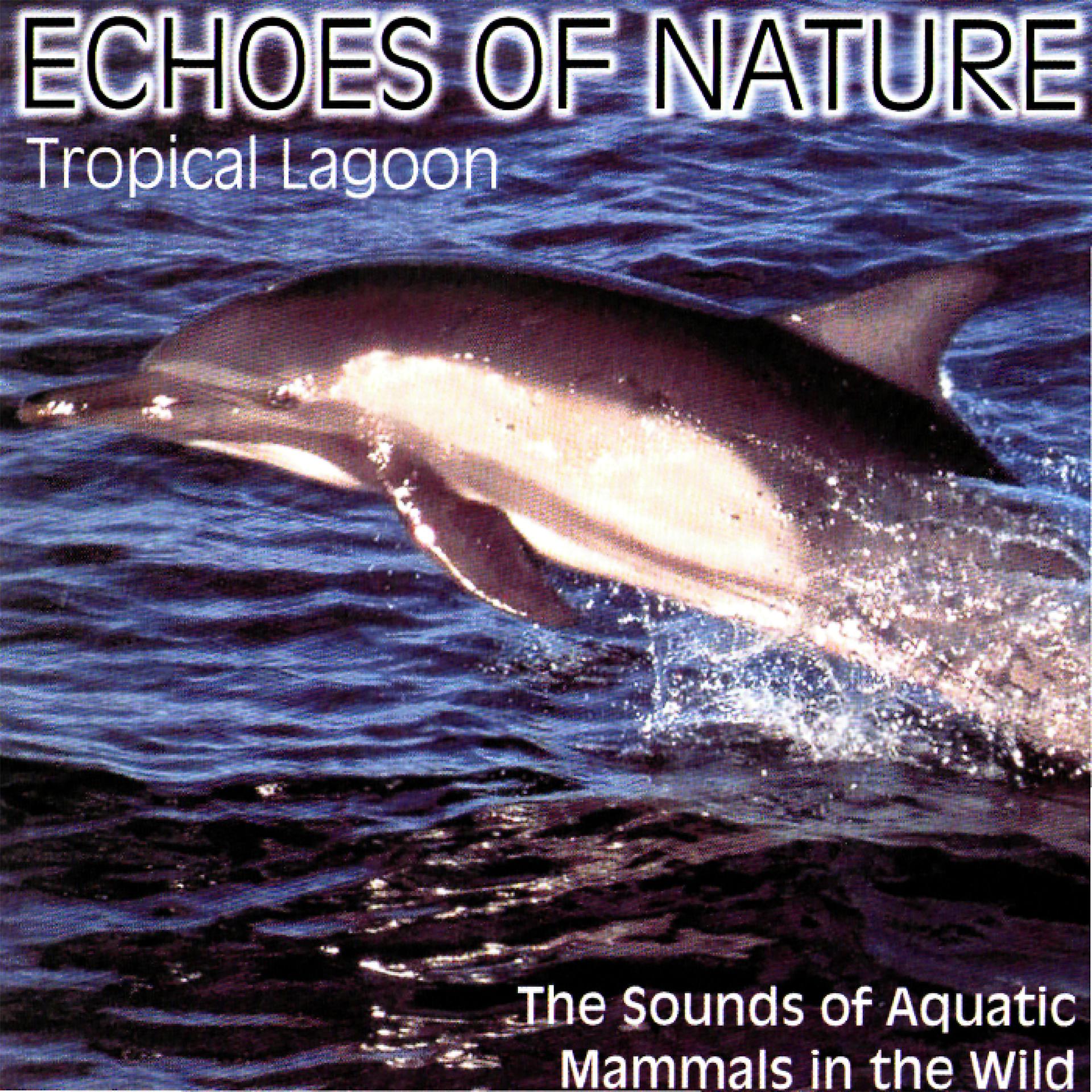 Постер альбома Echoes of Nature: Tropic Lagoon