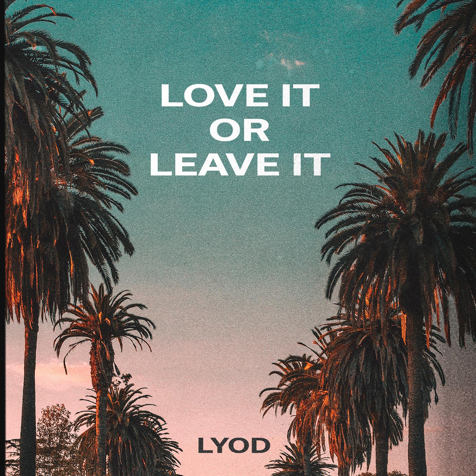 Постер альбома Love It or Leave It