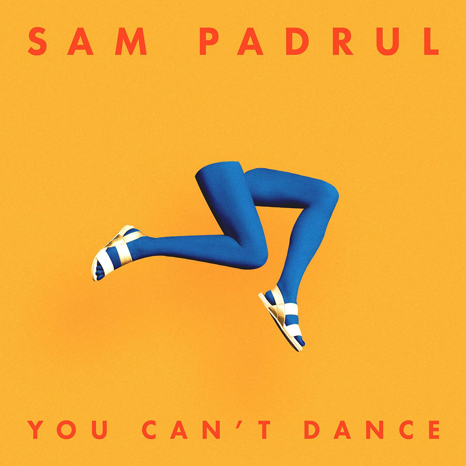 Постер альбома You Can't Dance