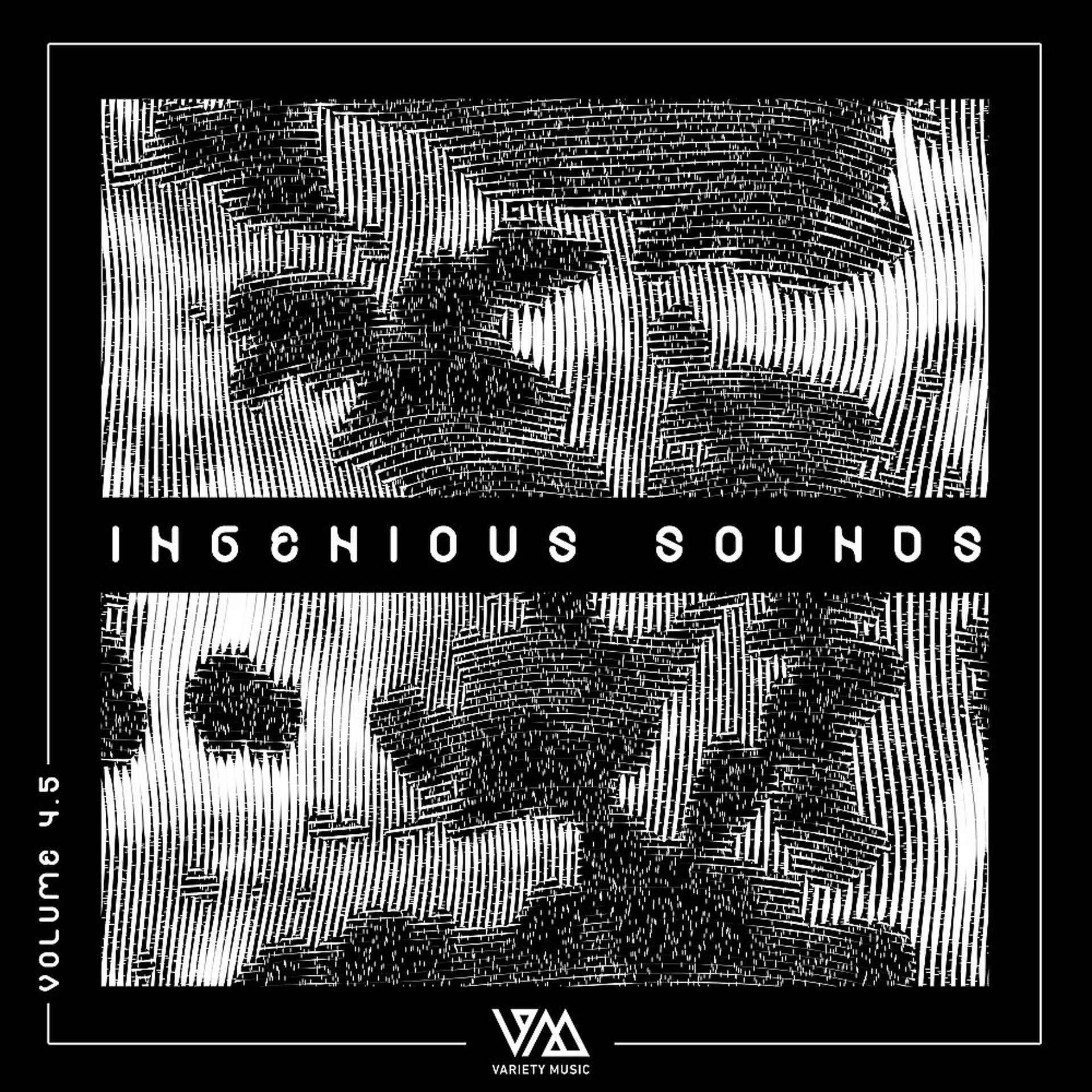 Постер альбома Ingenious Sounds, Vol. 4.5