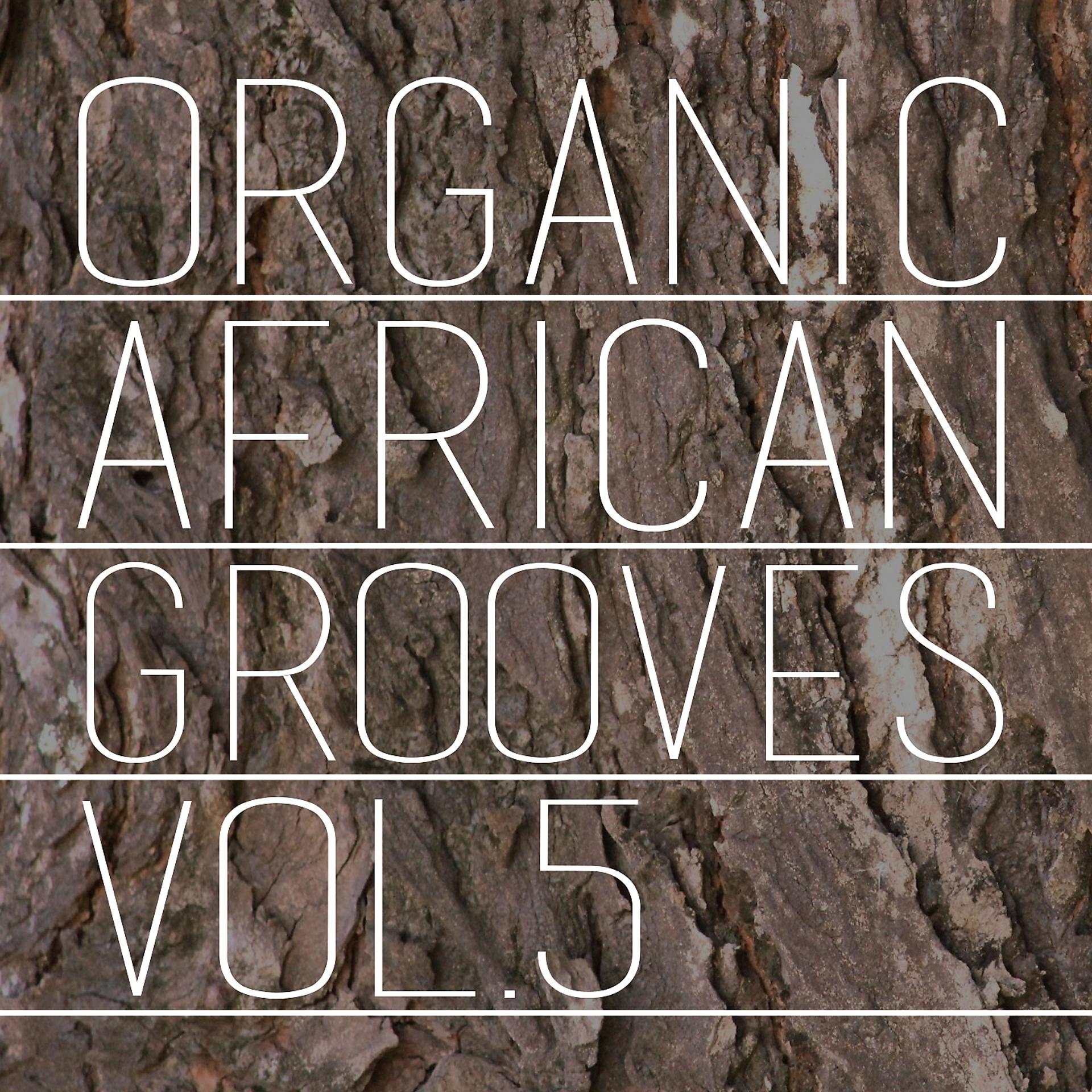 Постер альбома Organic African Grooves, Vol.5