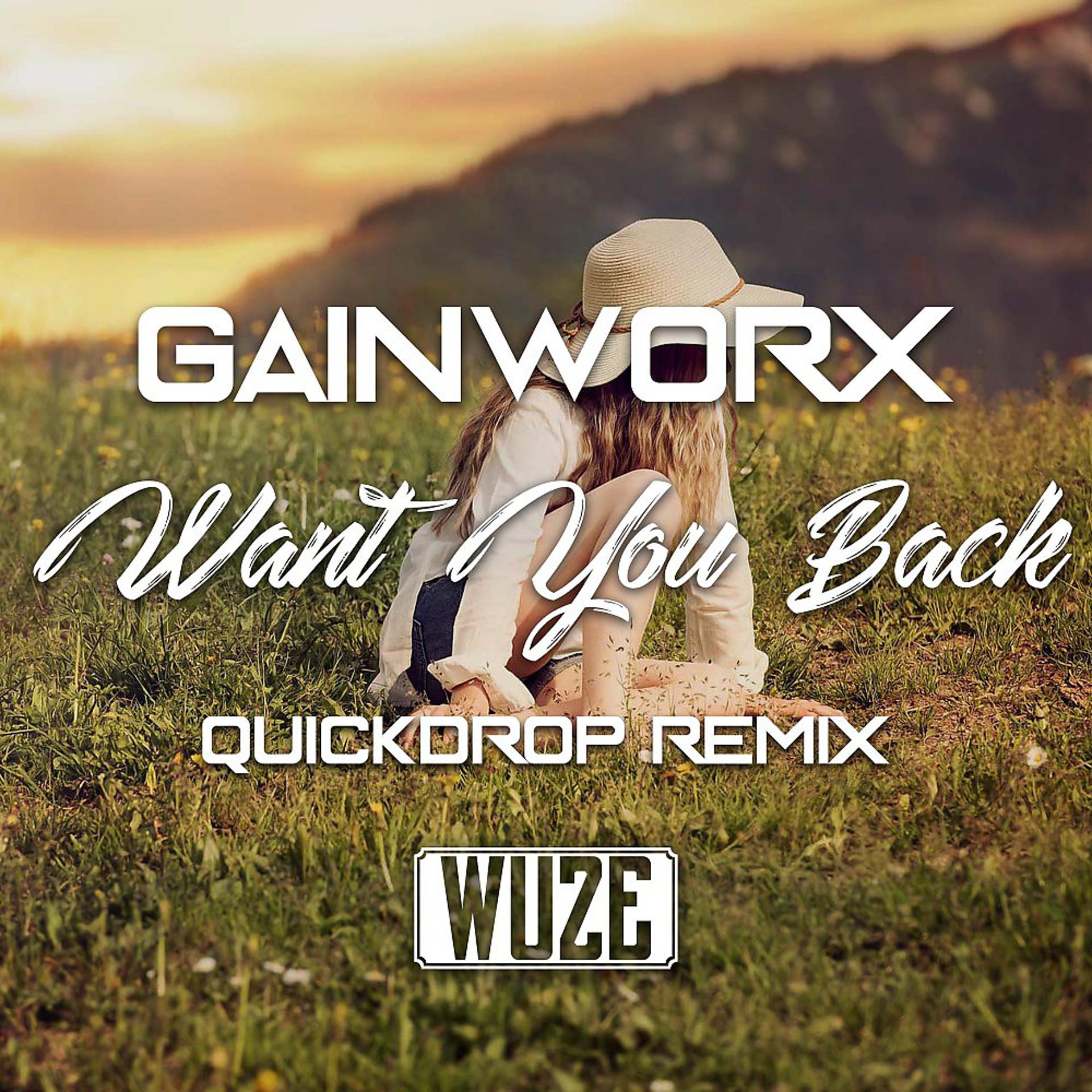Постер альбома Want You Back (Quickdrop Remix)