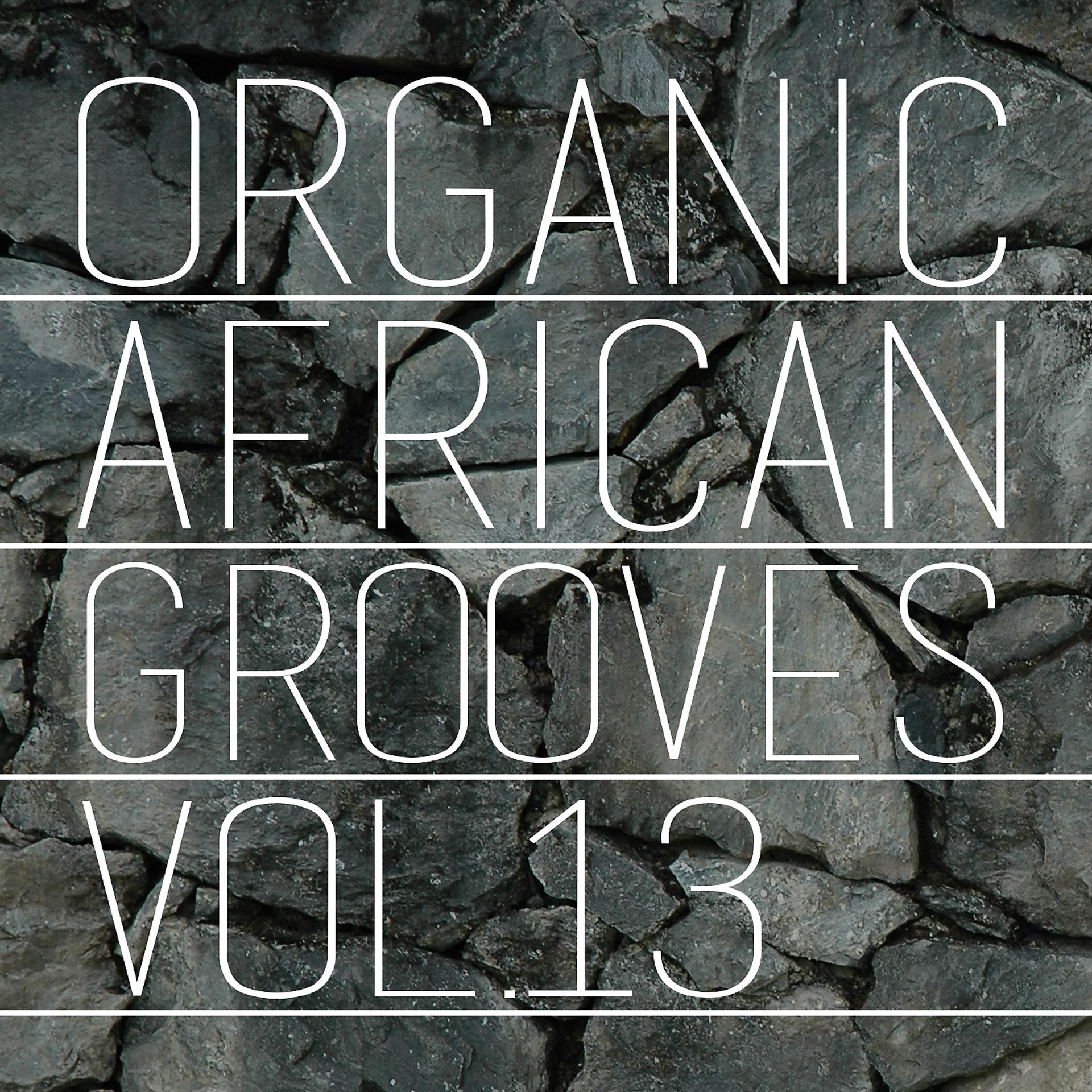 Постер альбома Organic African Grooves, Vol.13