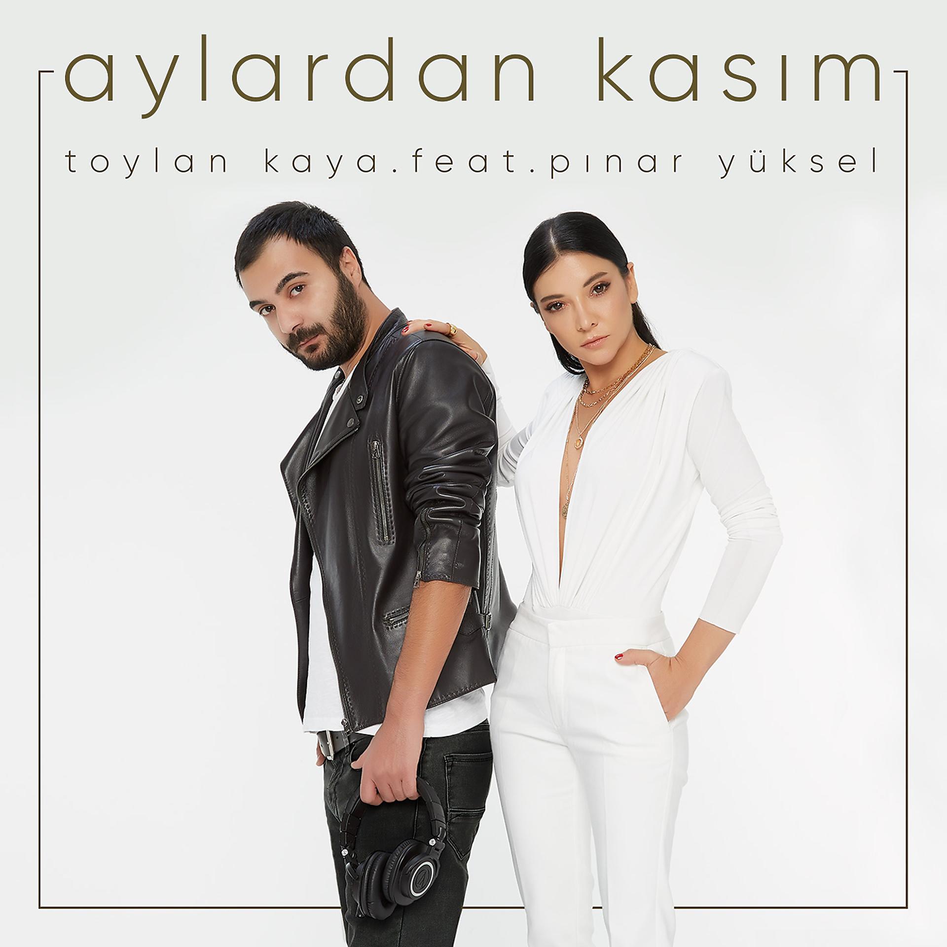 Постер альбома Aylardan Kasım