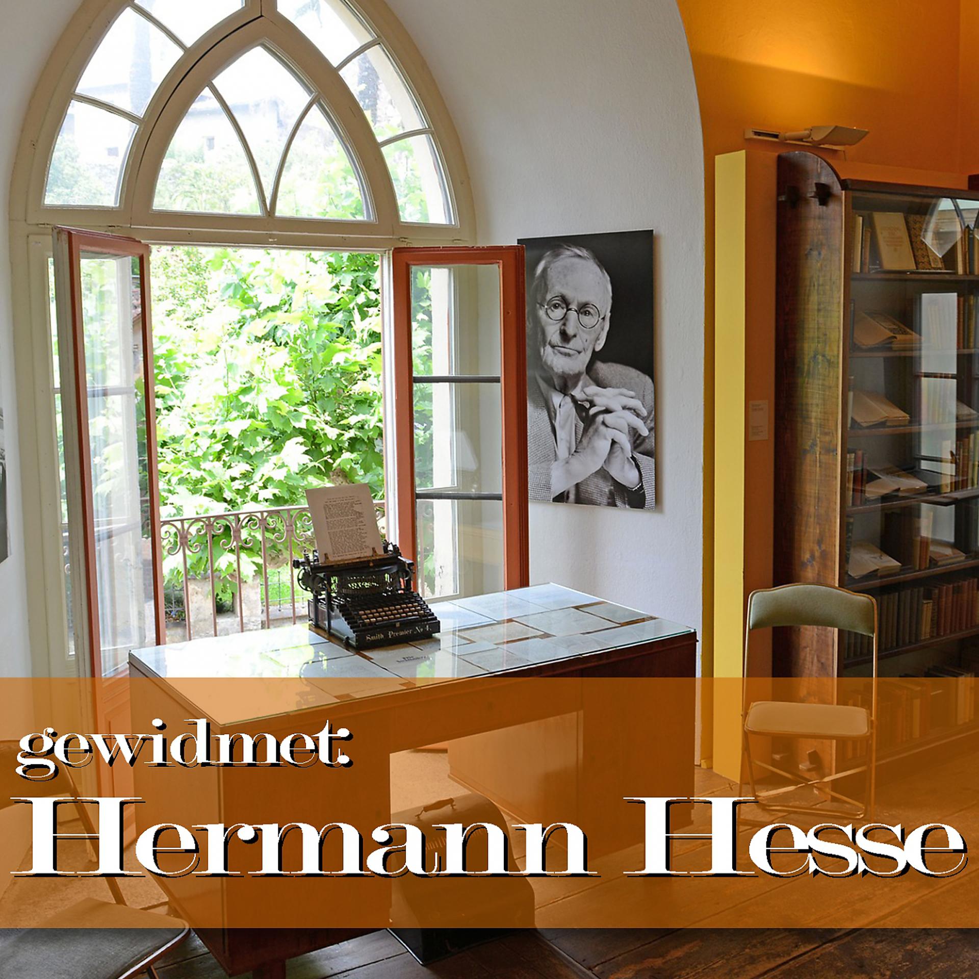 Постер альбома gewidmet: Hermann Hesse