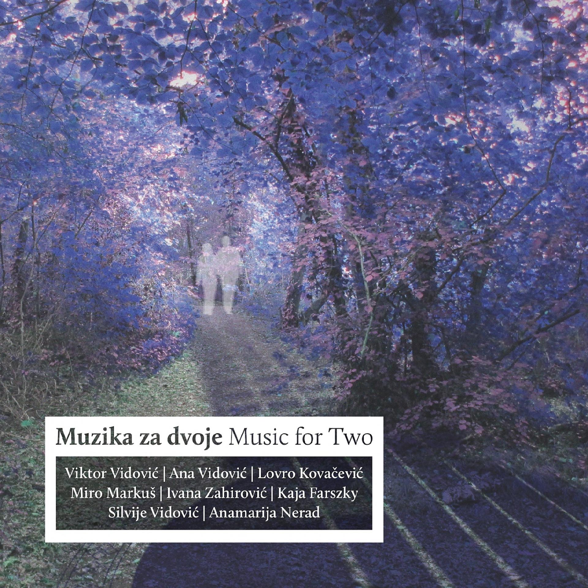 Постер альбома Viktor Vidović: Muzika Za Dvoje