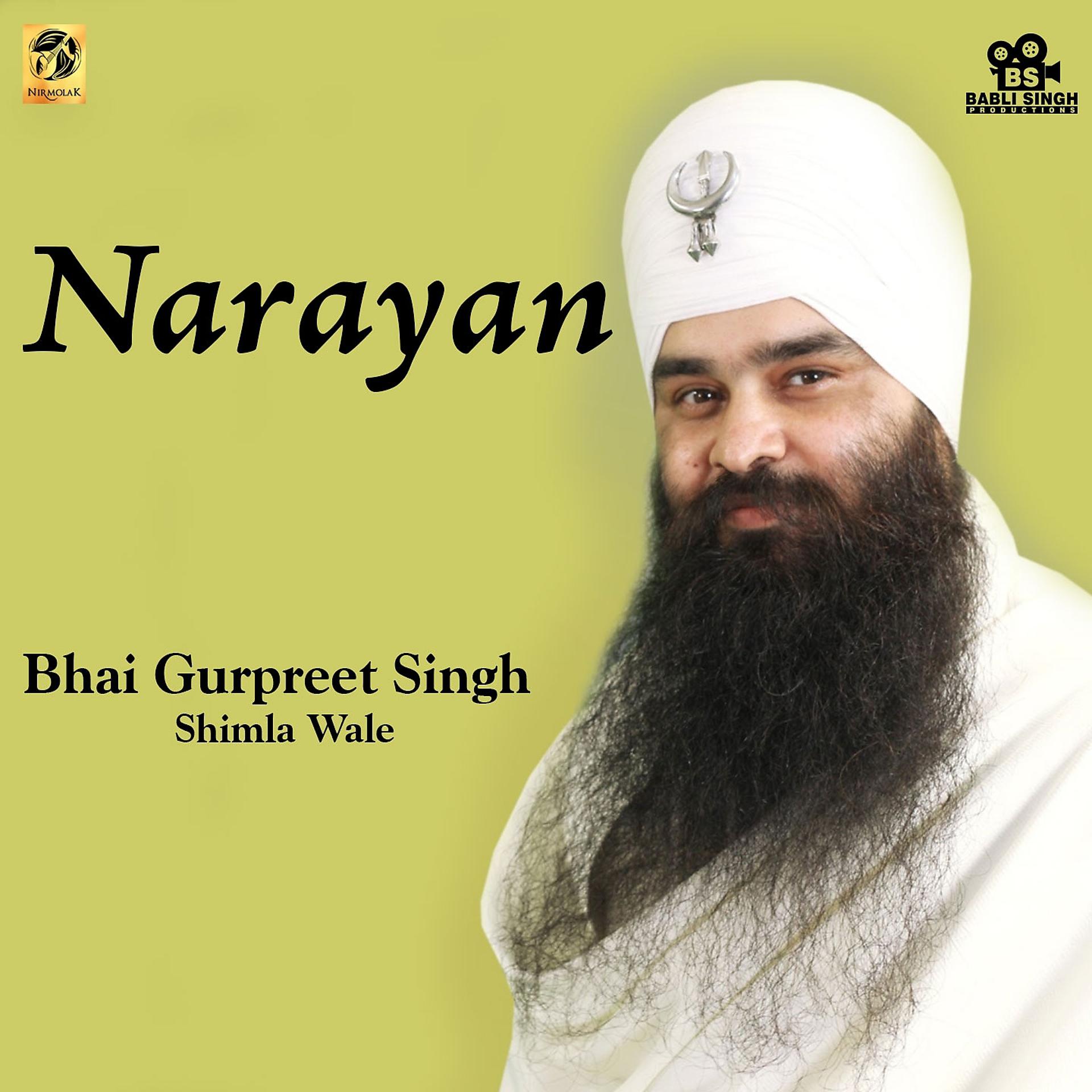 Постер альбома Narayan