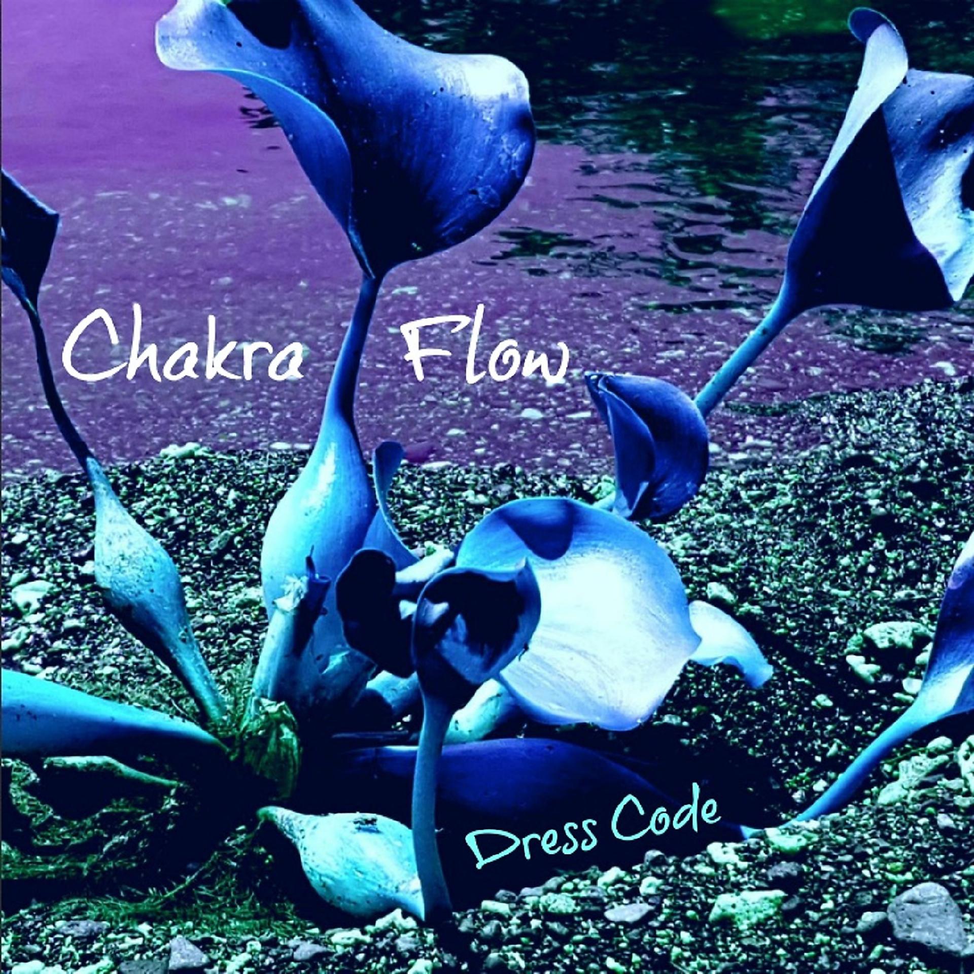 Постер альбома Chakra Flow