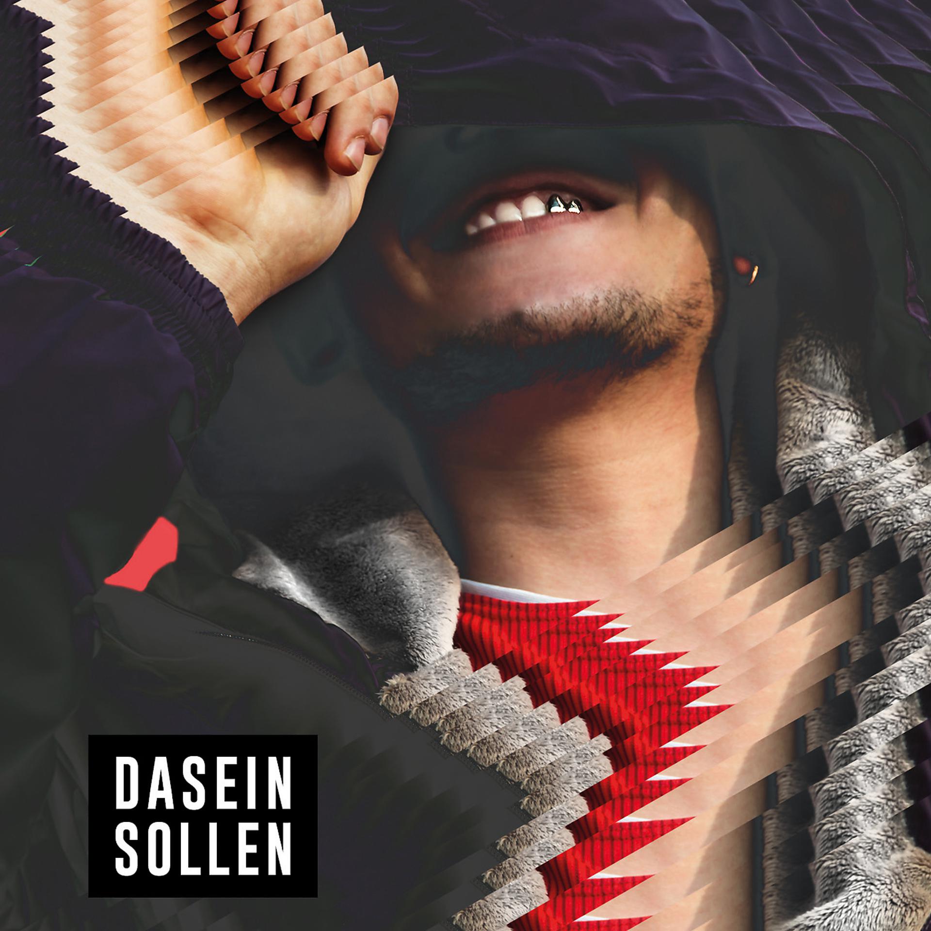 Постер альбома Dasein Sollen