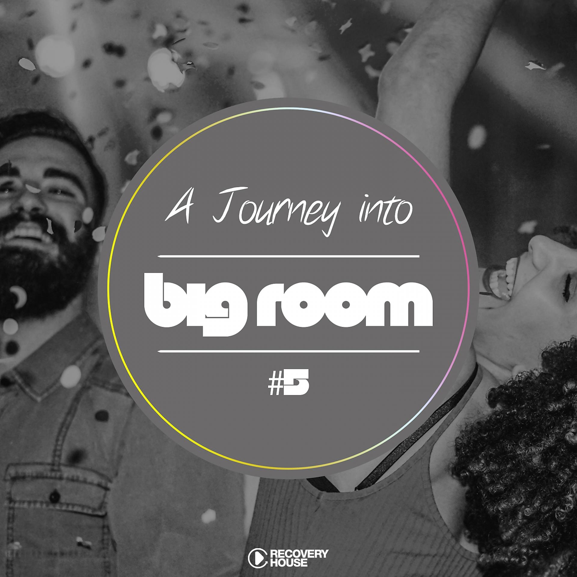 Постер альбома A Journey into Big Room, Vol. 5