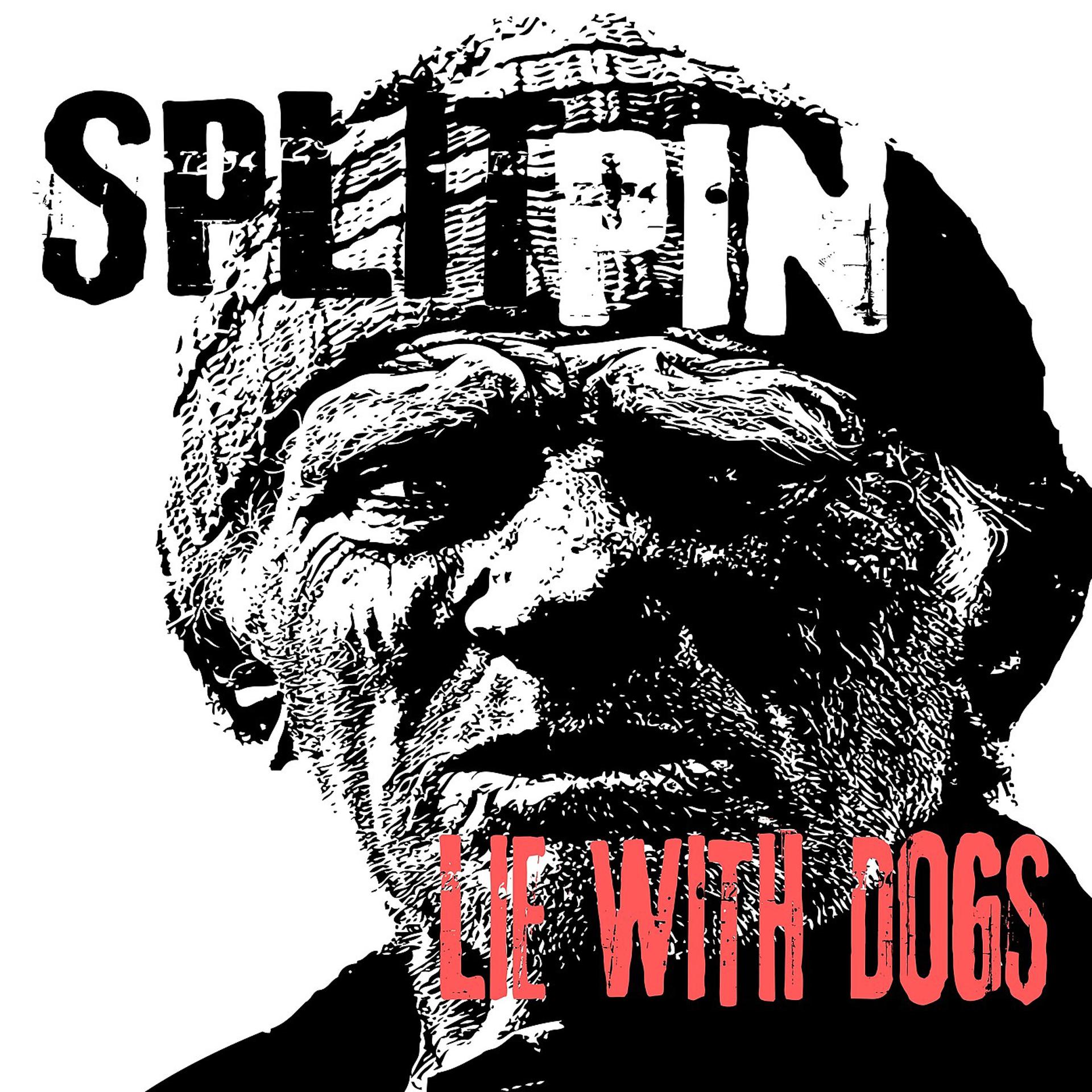 Постер альбома Lie With Dogs