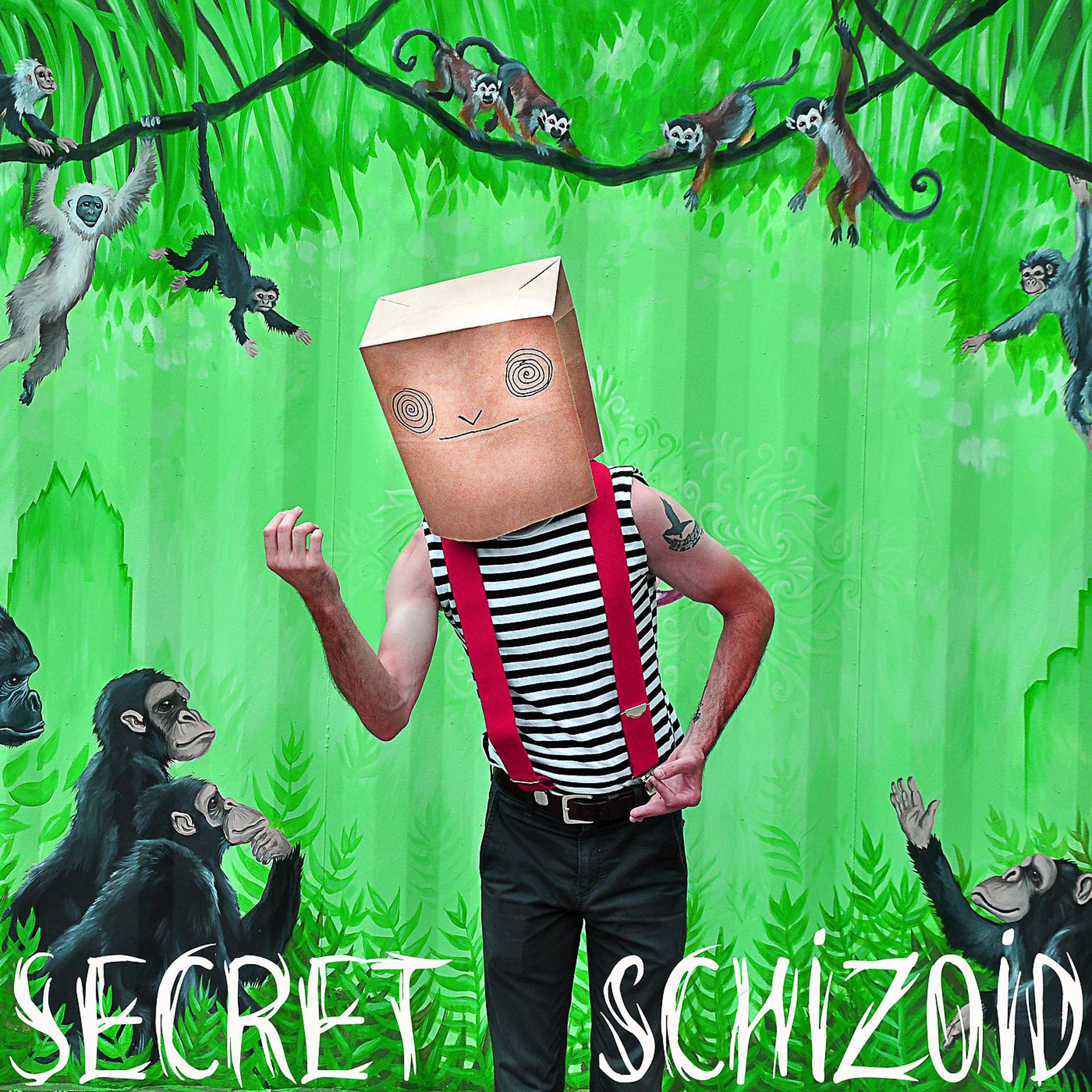 Постер альбома Secret Schizoid