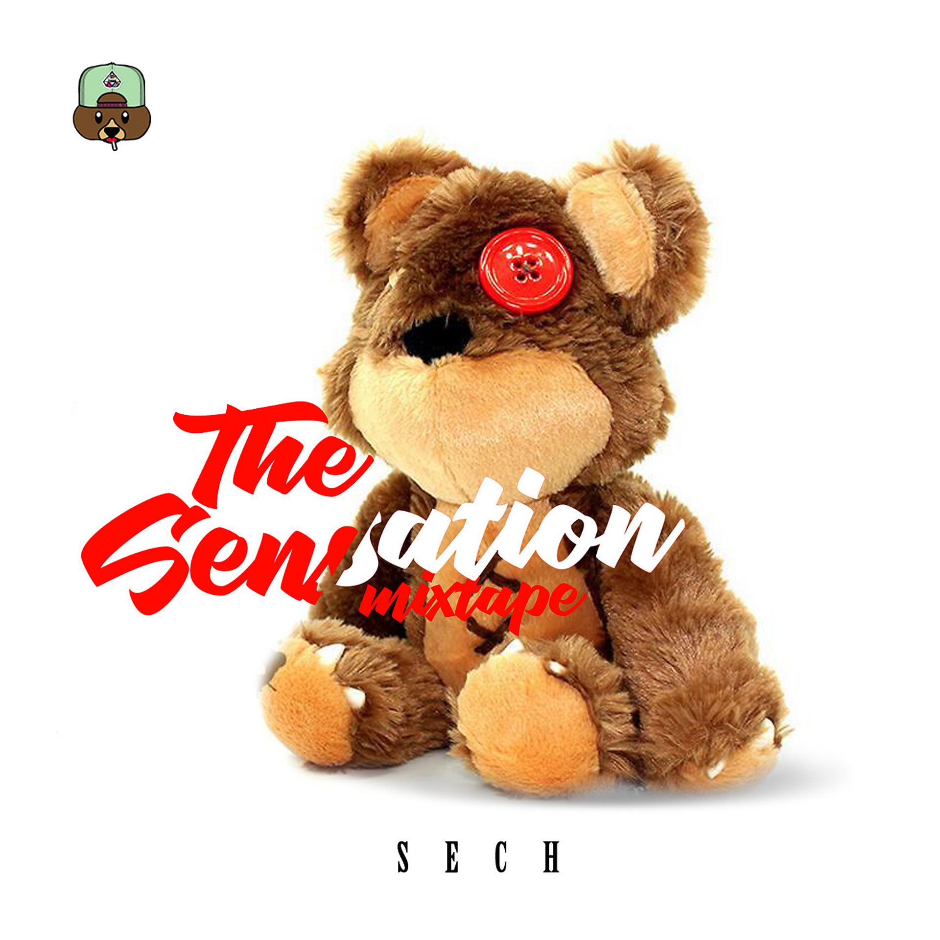 Постер альбома The Sensation Mixtape