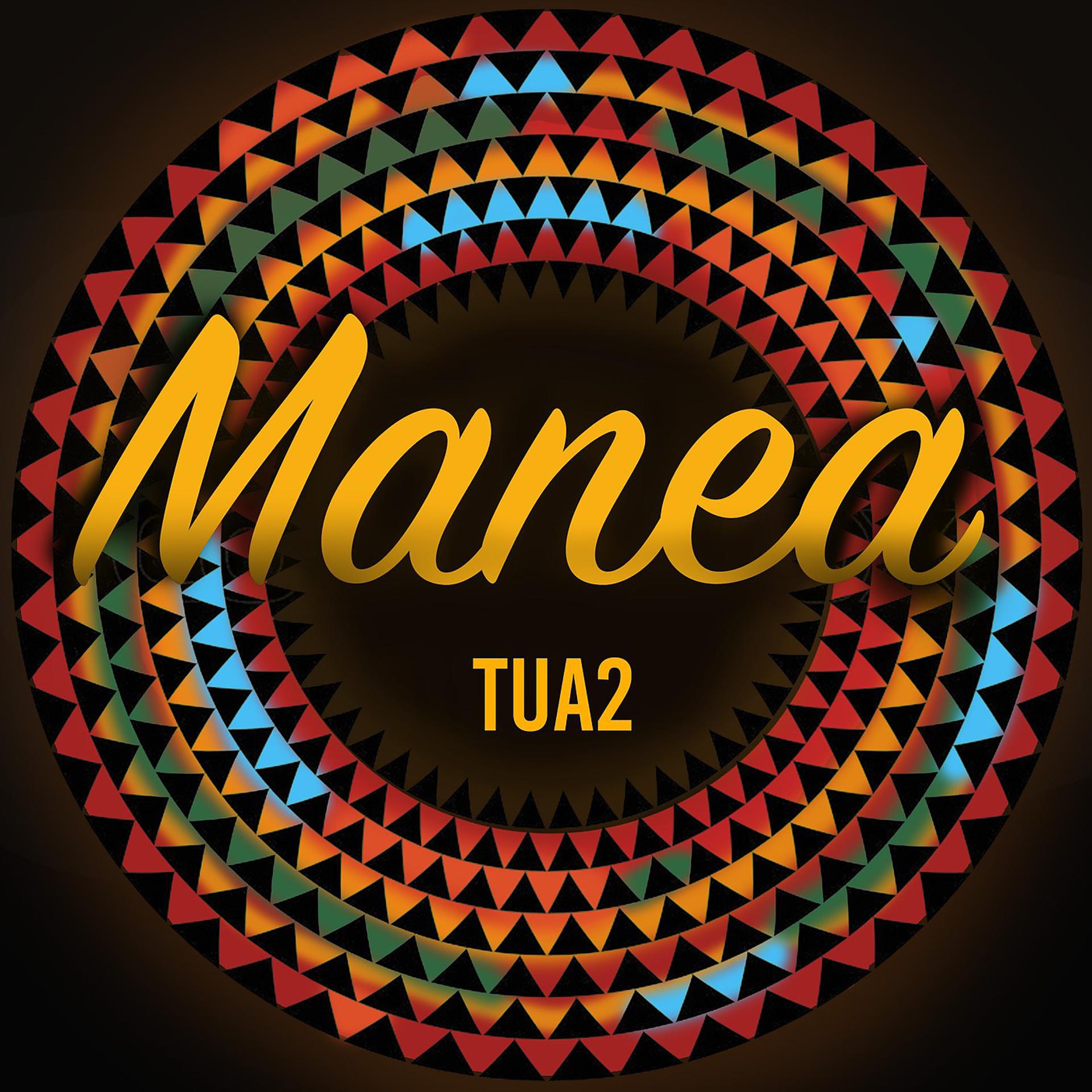 Постер альбома Manea Tua2
