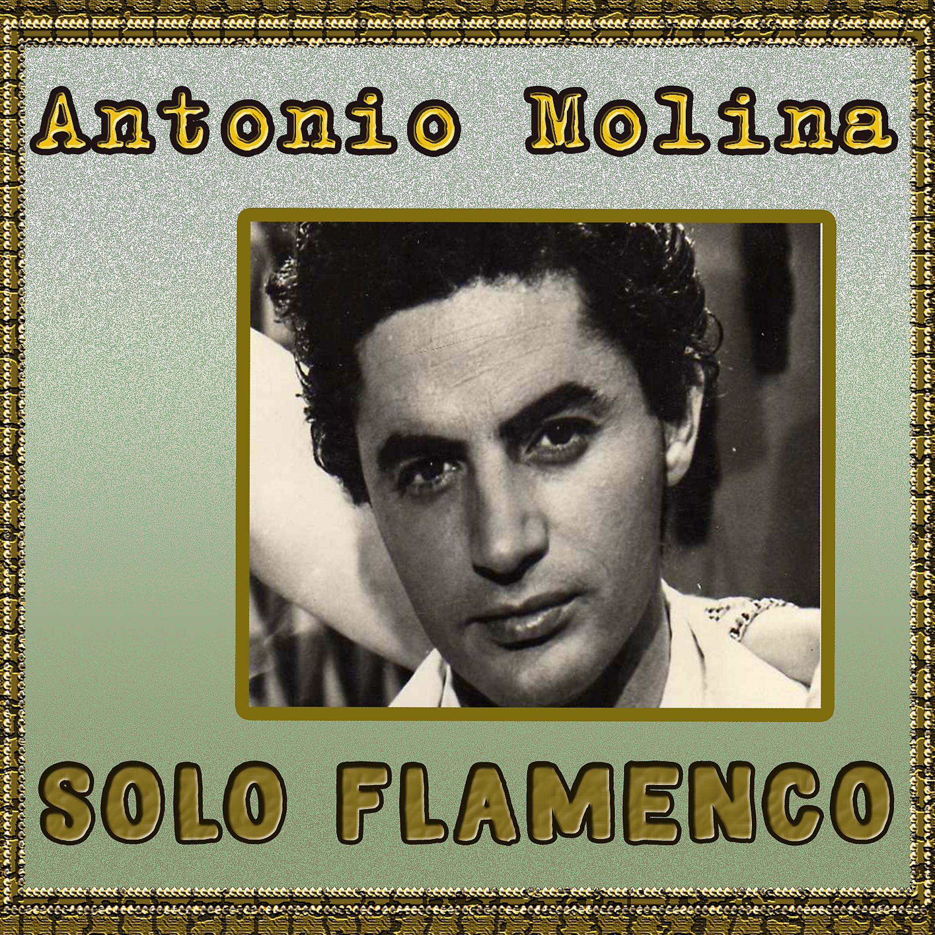 Постер альбома Solo Flamenco