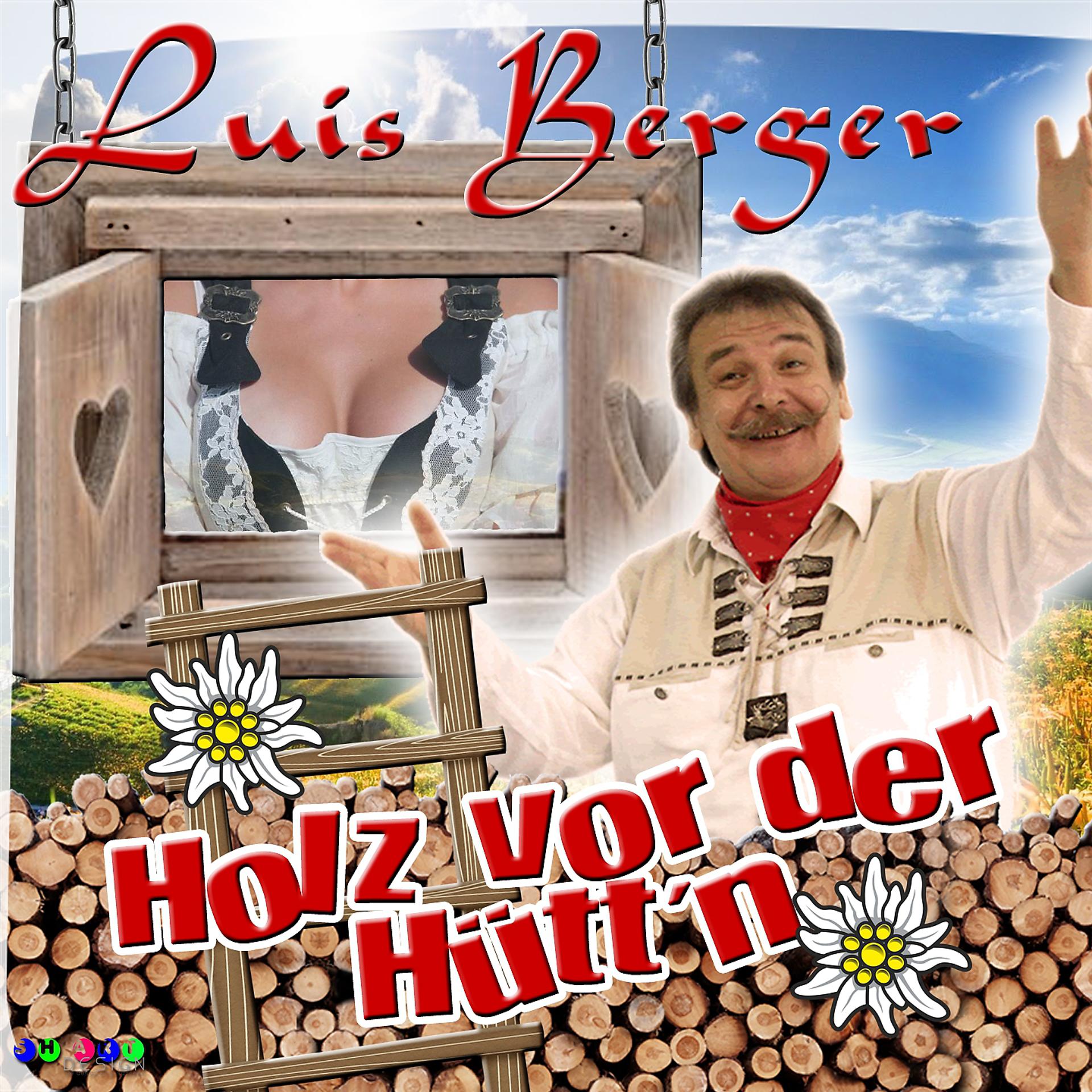 Постер альбома (MIT SO VIEL) Holz vor der Hüttn