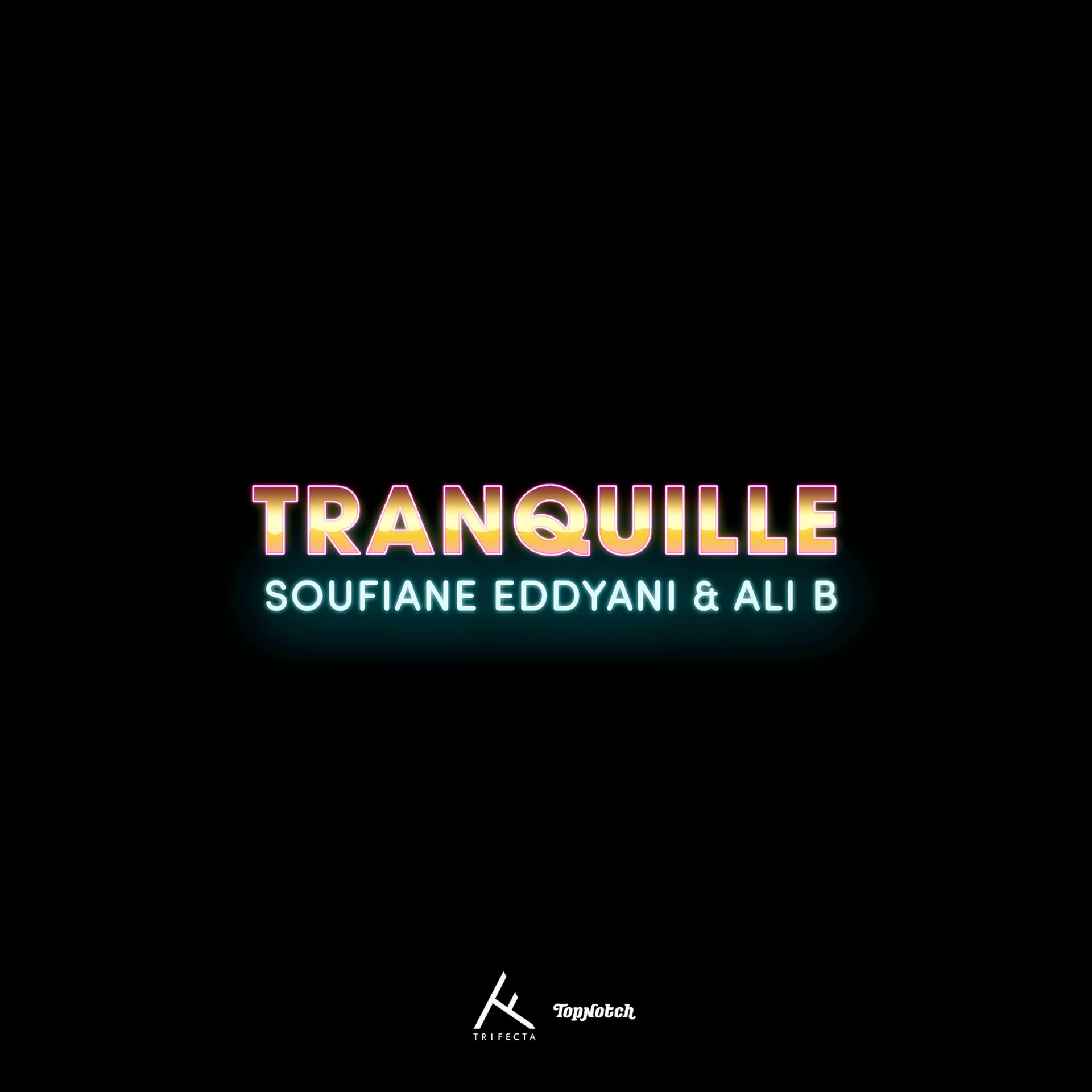 Постер альбома Tranquille
