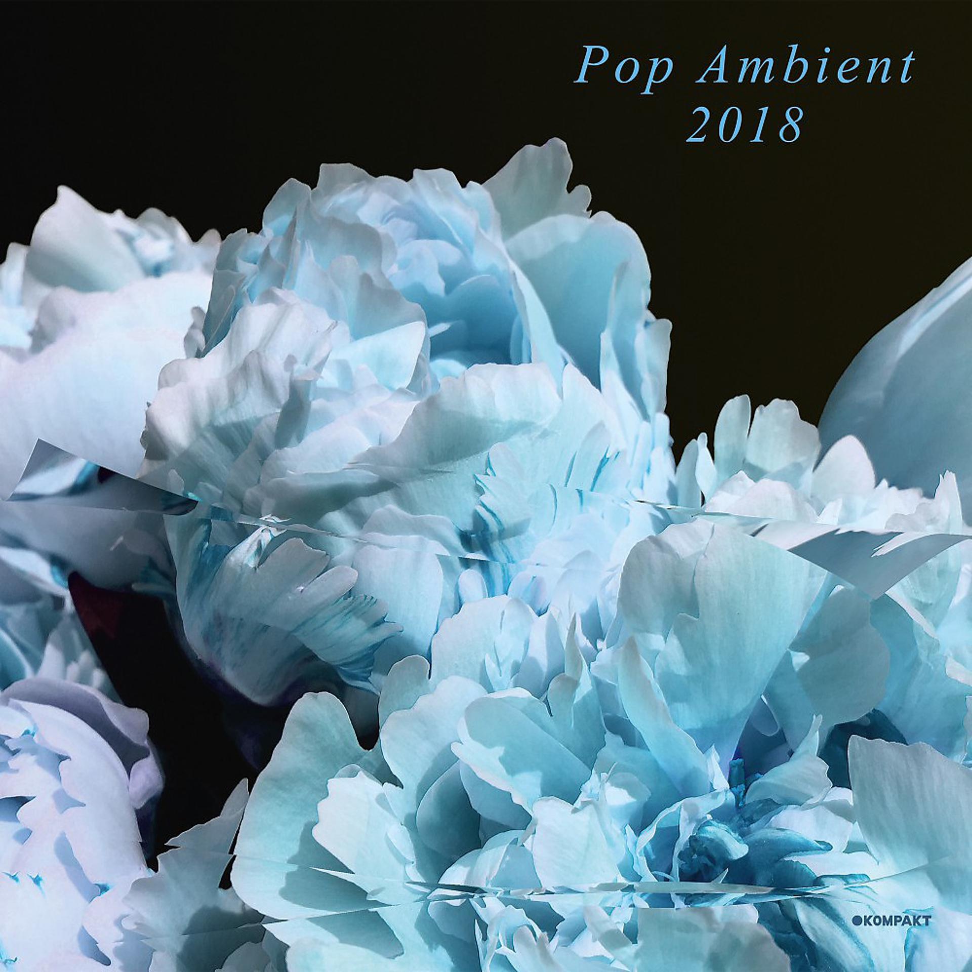 Постер альбома Pop Ambient 2018