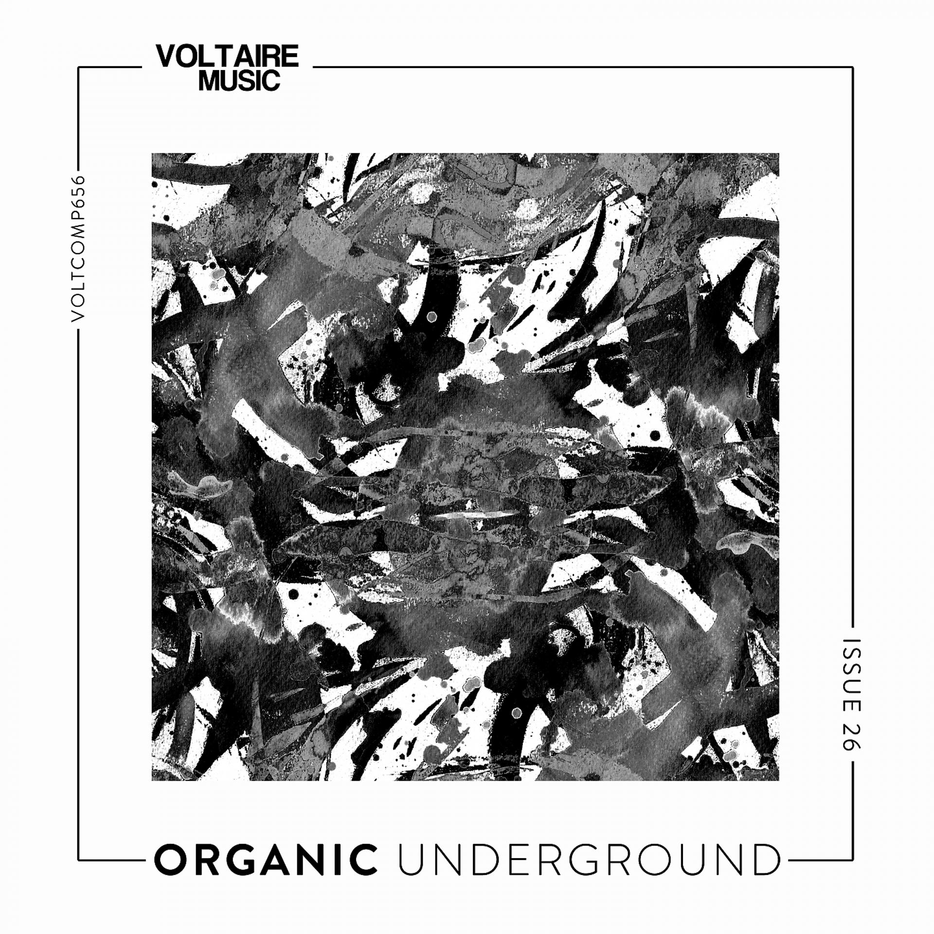 Постер альбома Organic Underground Issue 26
